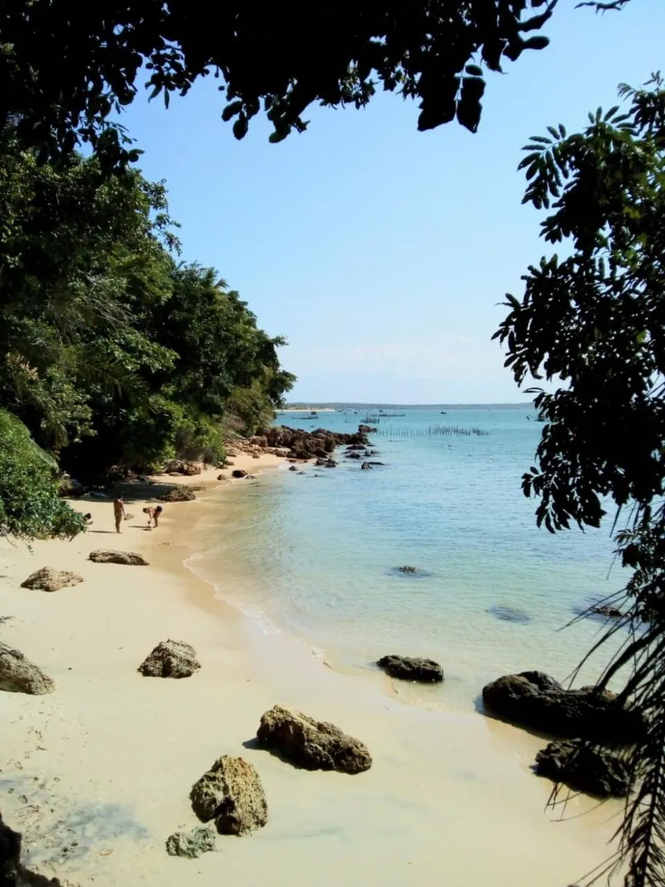 Natural landscape in Pousada Boutique Recanto Do Encanto - GAMBOA - Morro de São Paulo