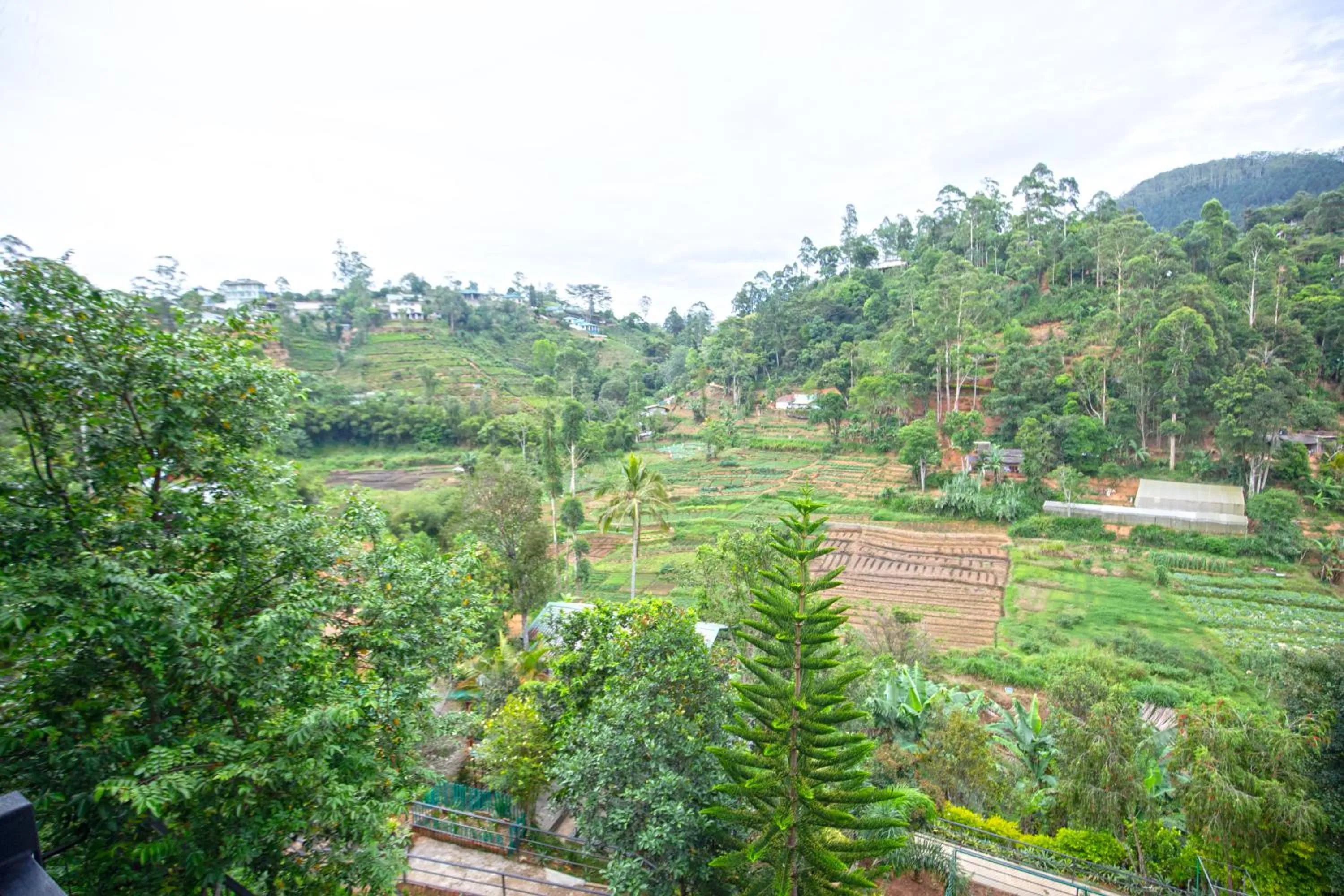 Mountain view in Top Mountain Resort