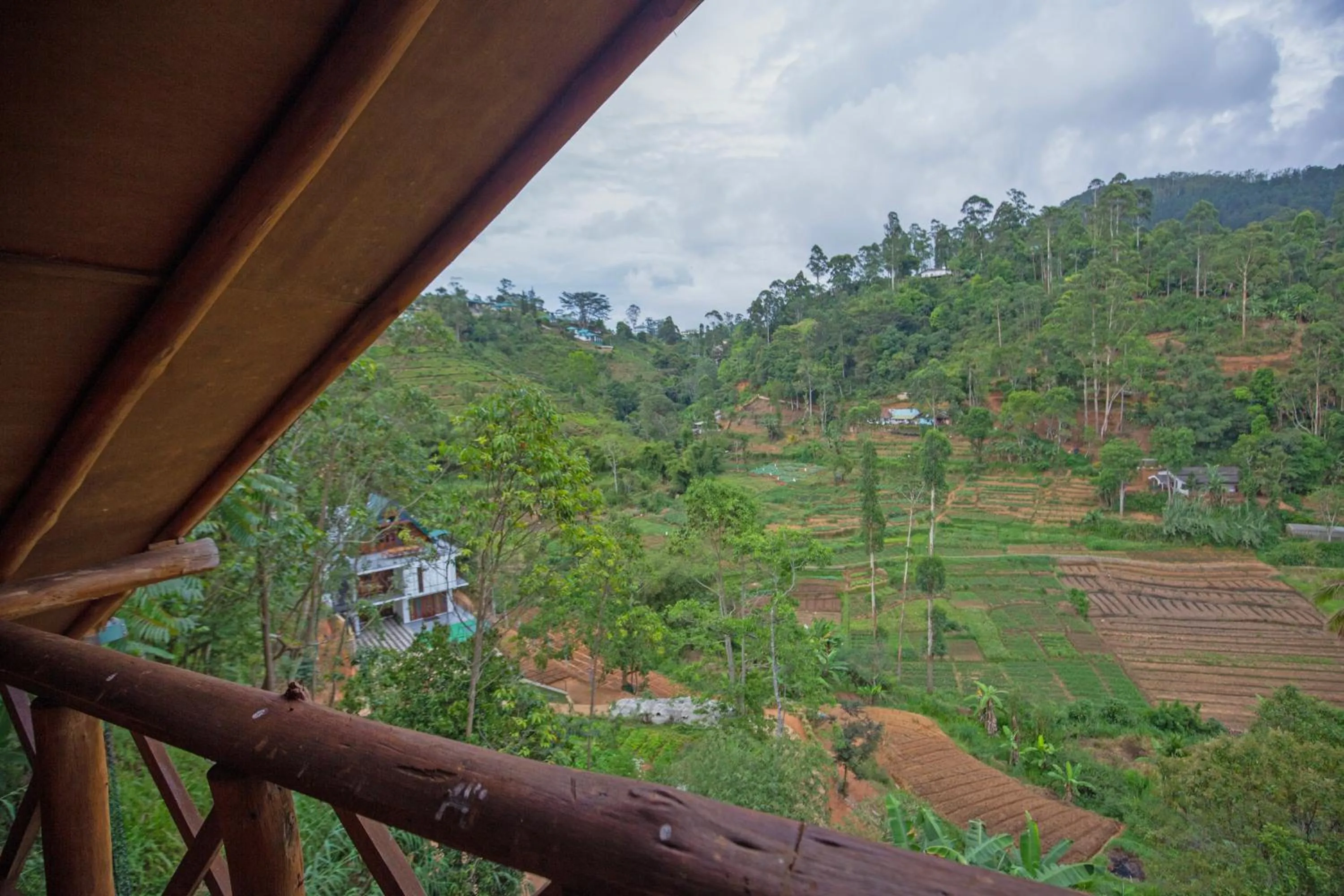 Natural landscape in Top Mountain Resort