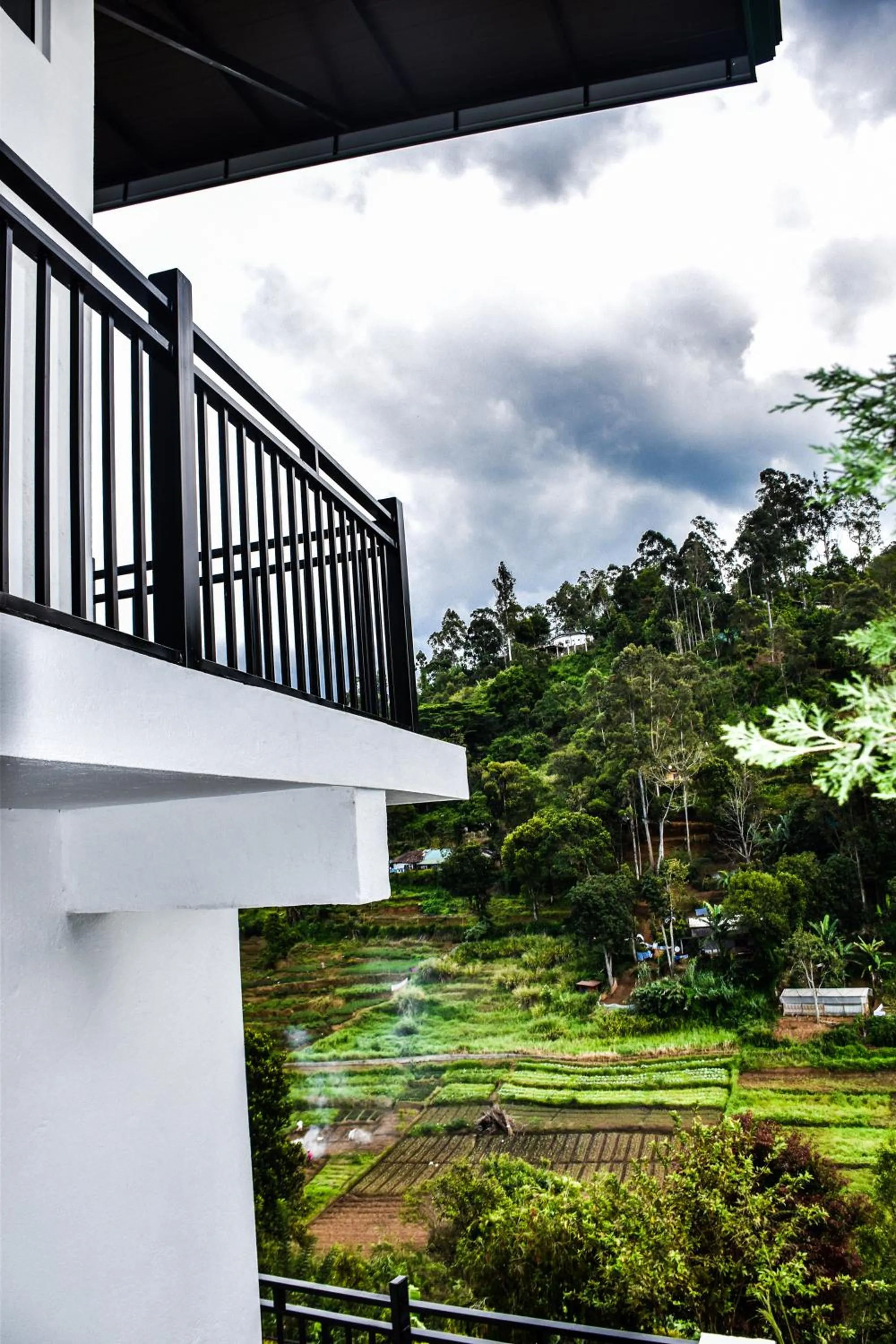 Garden view in Top Mountain Resort