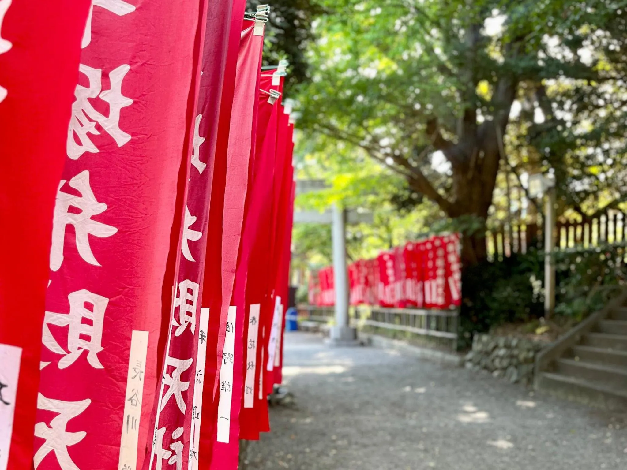 Nearby landmark in miss morgan hotel