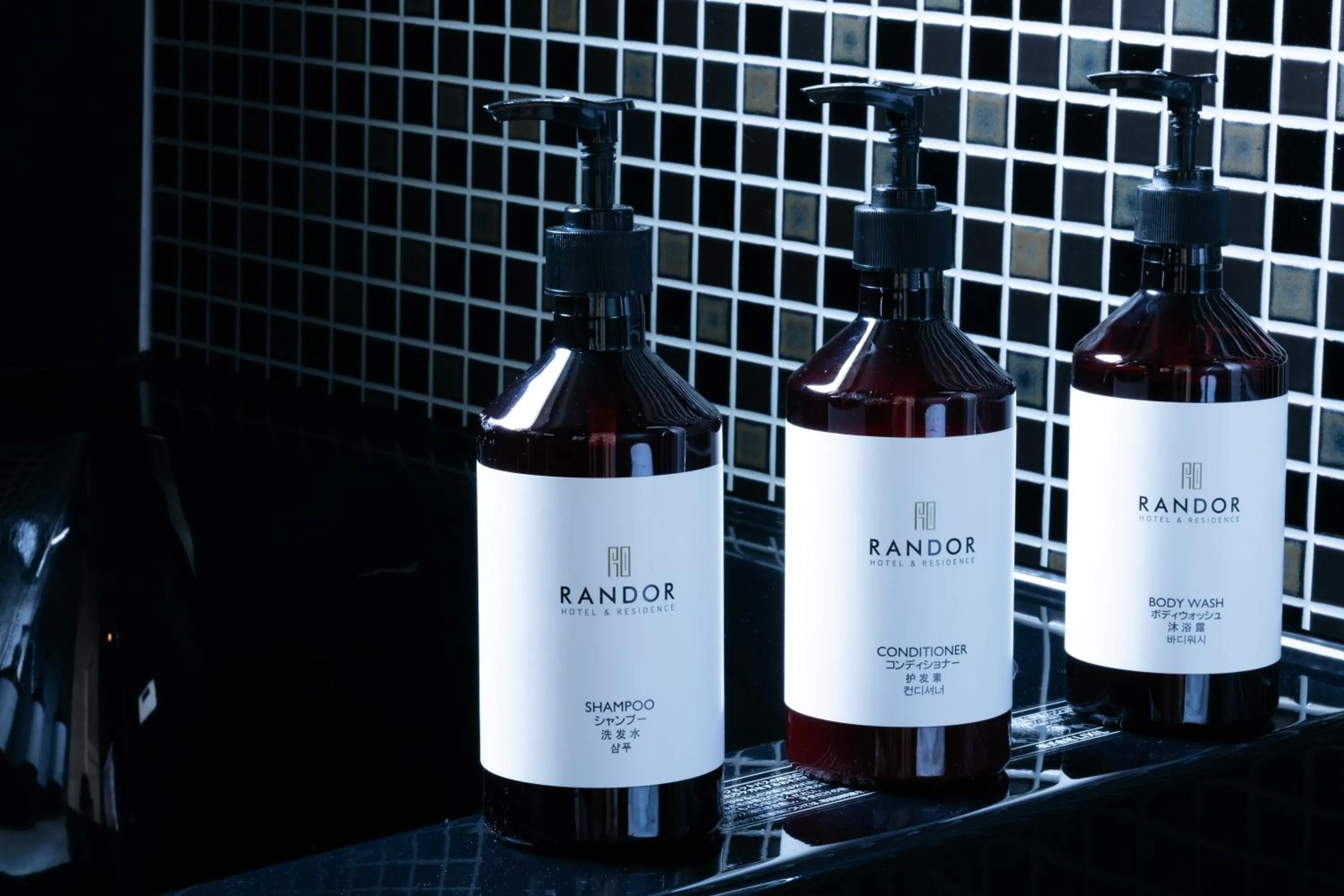 Other in Randor Hotel Sapporo Suites