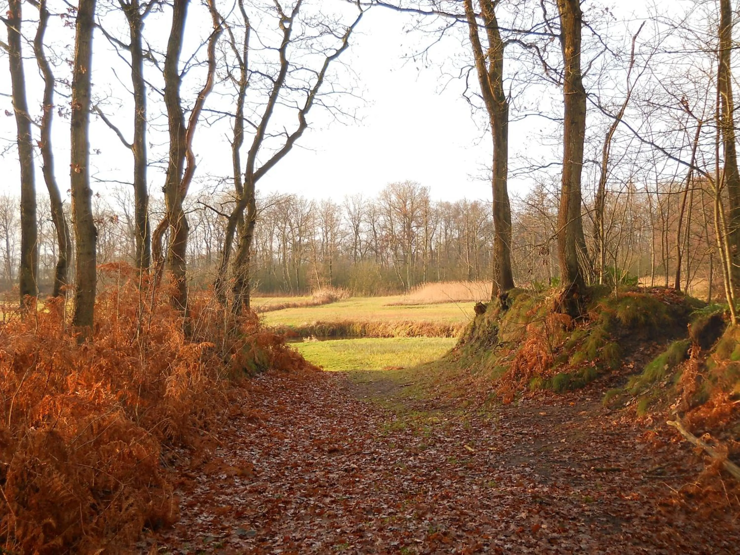 Area and facilities in Slaopen en Stoet