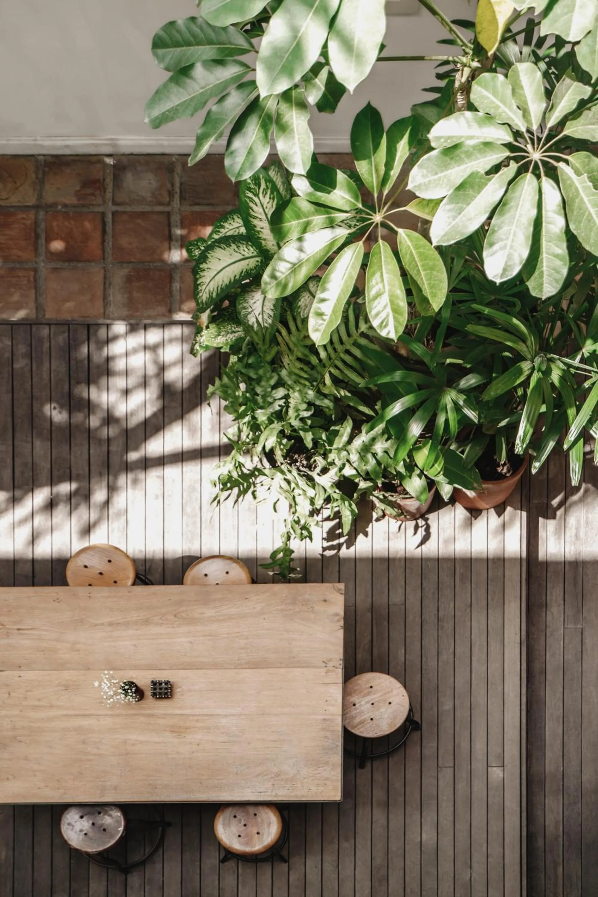 Day in Brown Feather Batu Belig