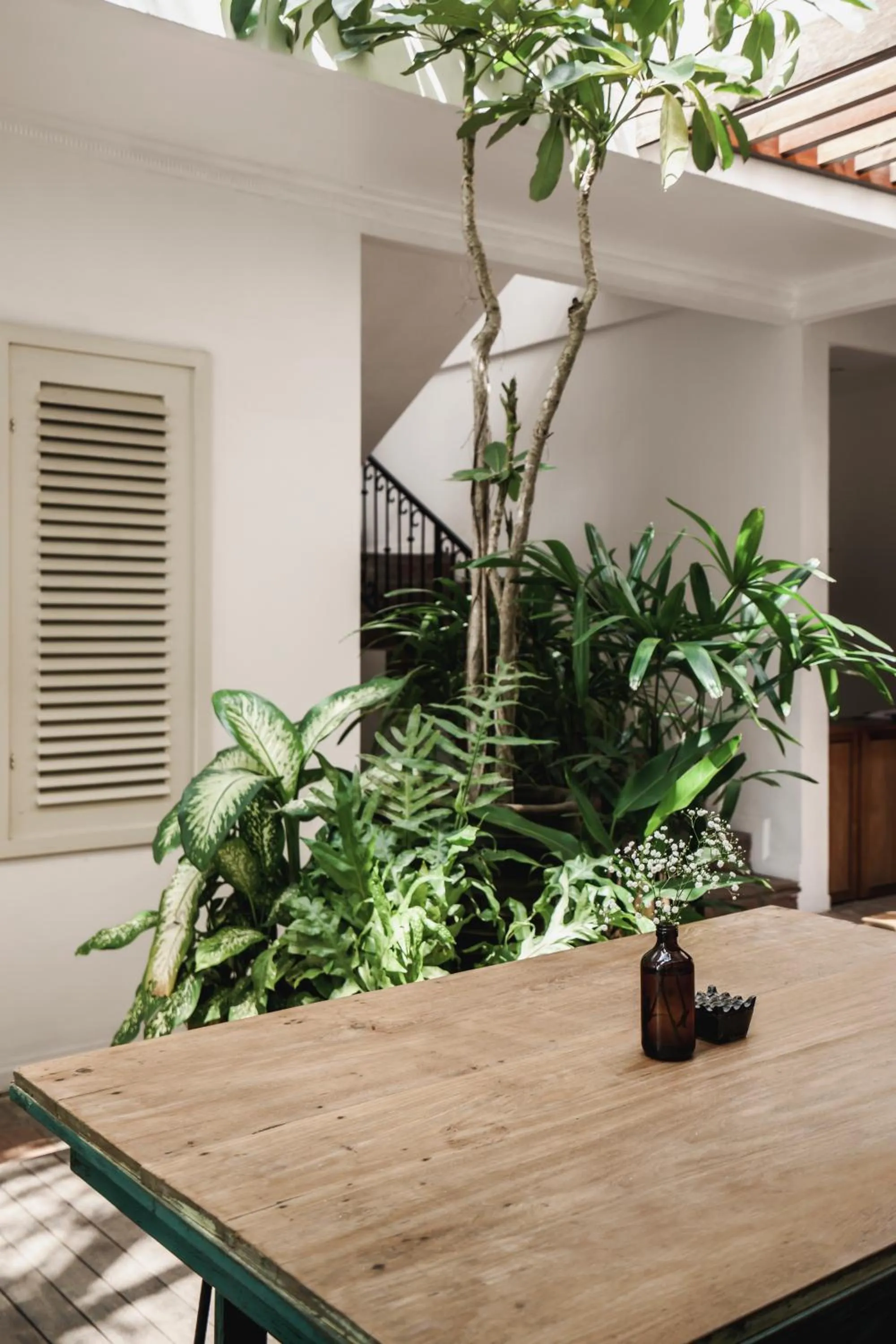 Garden view in Brown Feather Batu Belig