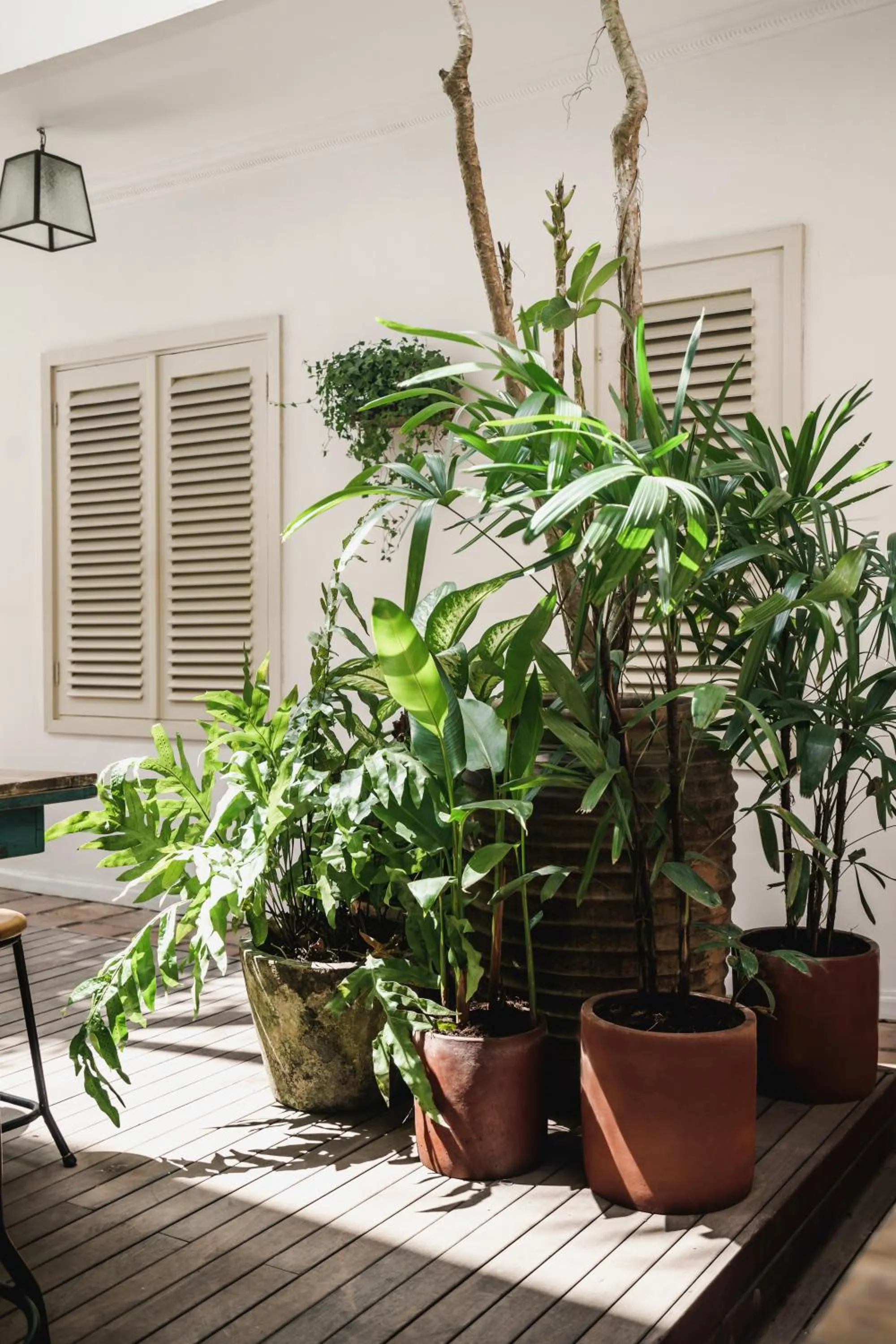 Day in Brown Feather Batu Belig