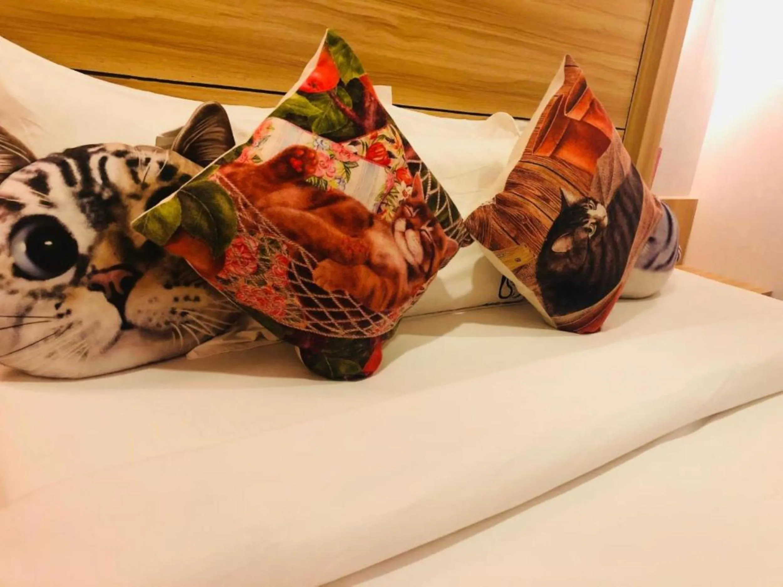 Bedroom, Bed in Cat Story Hotel