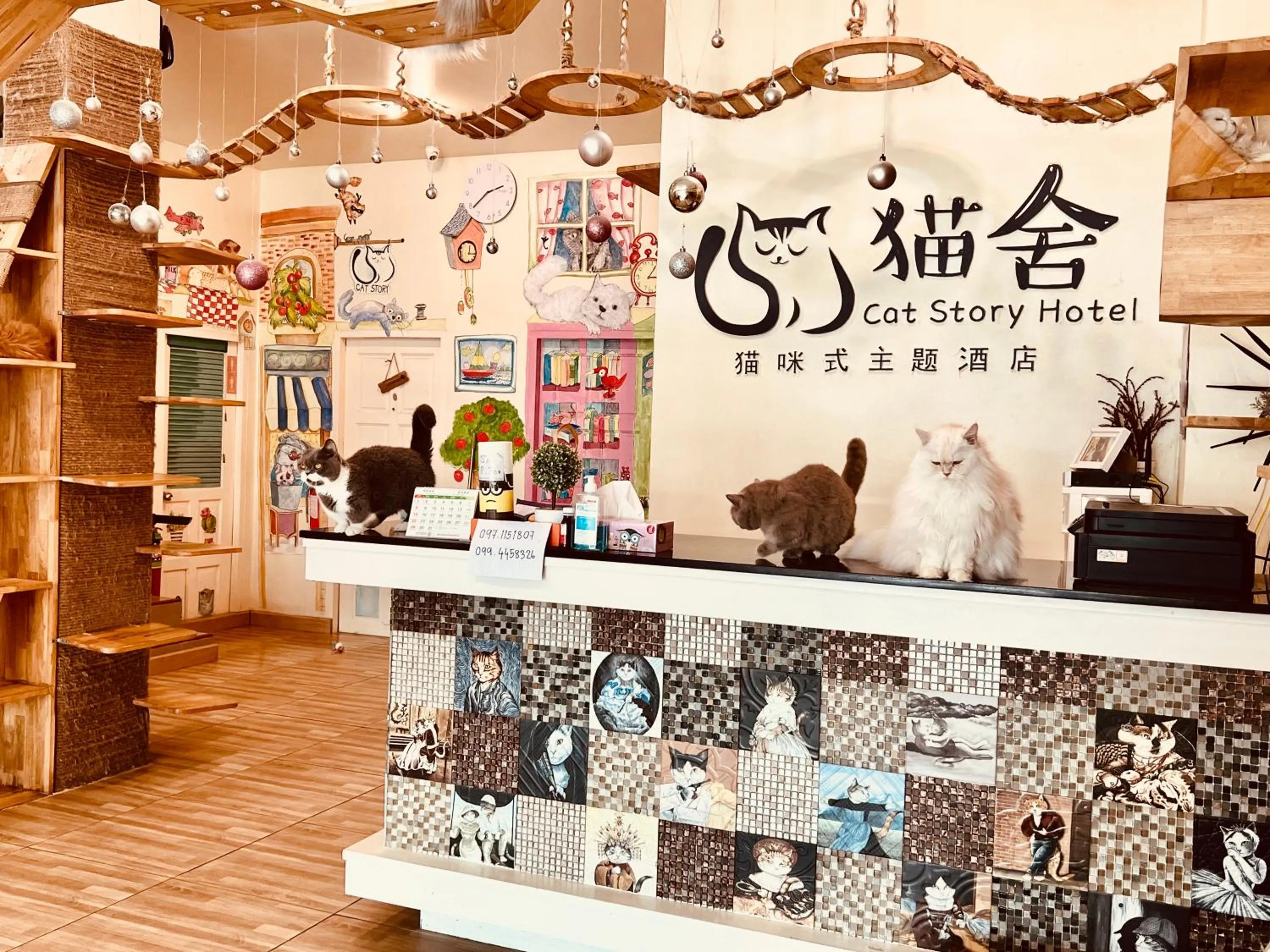 Property building in Cat Story Hotel