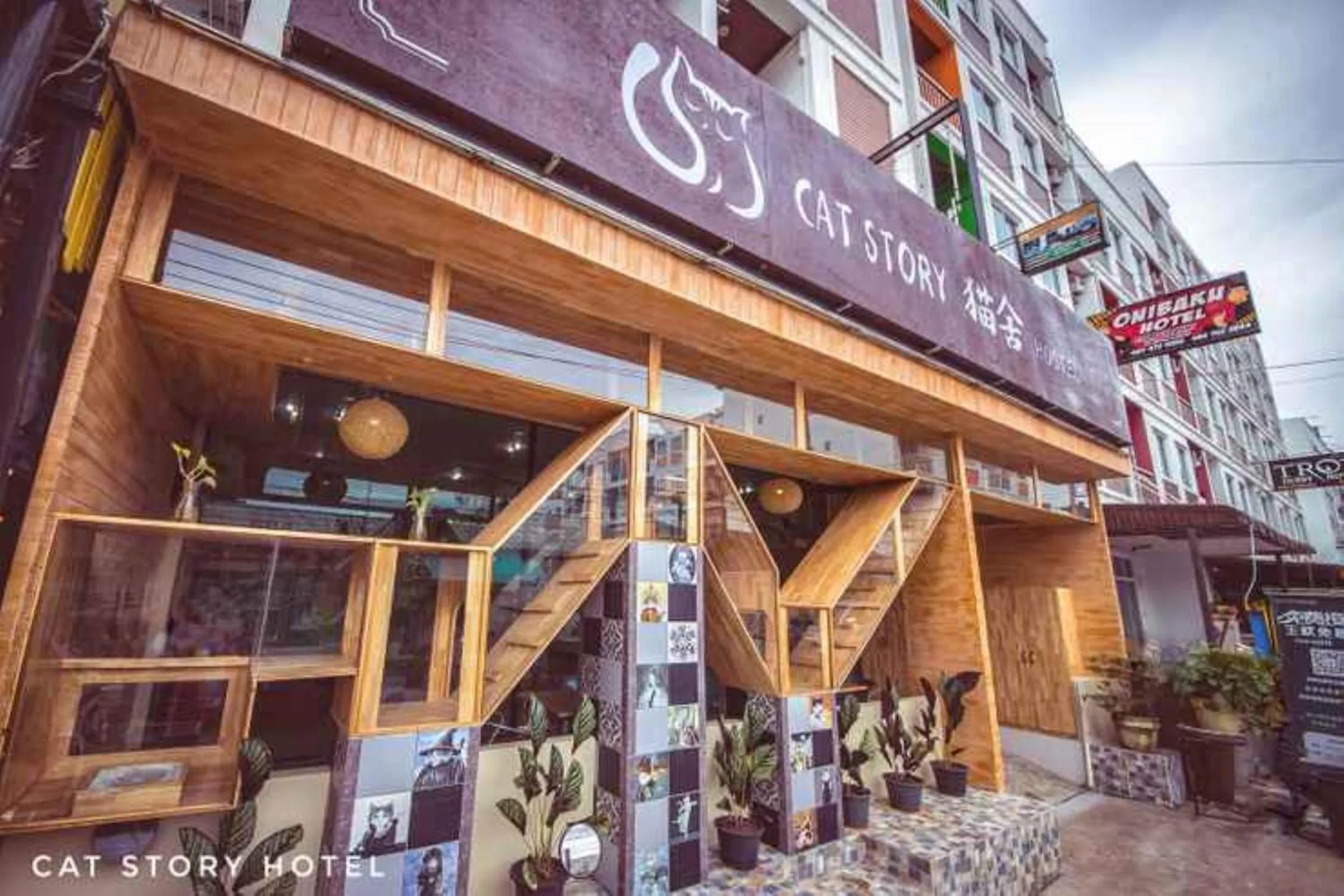 Property building in Cat Story Hotel