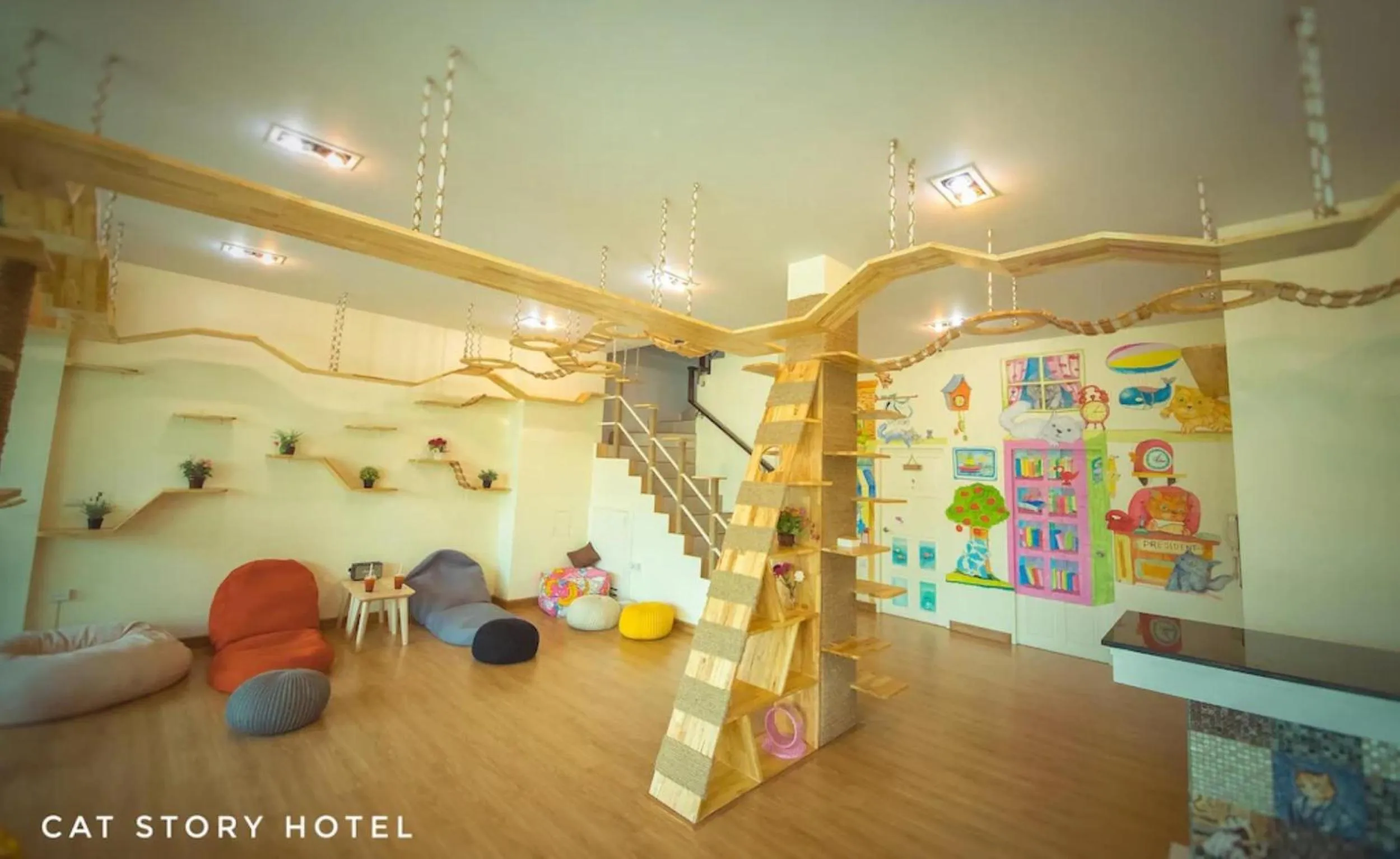 Lobby or reception in Cat Story Hotel