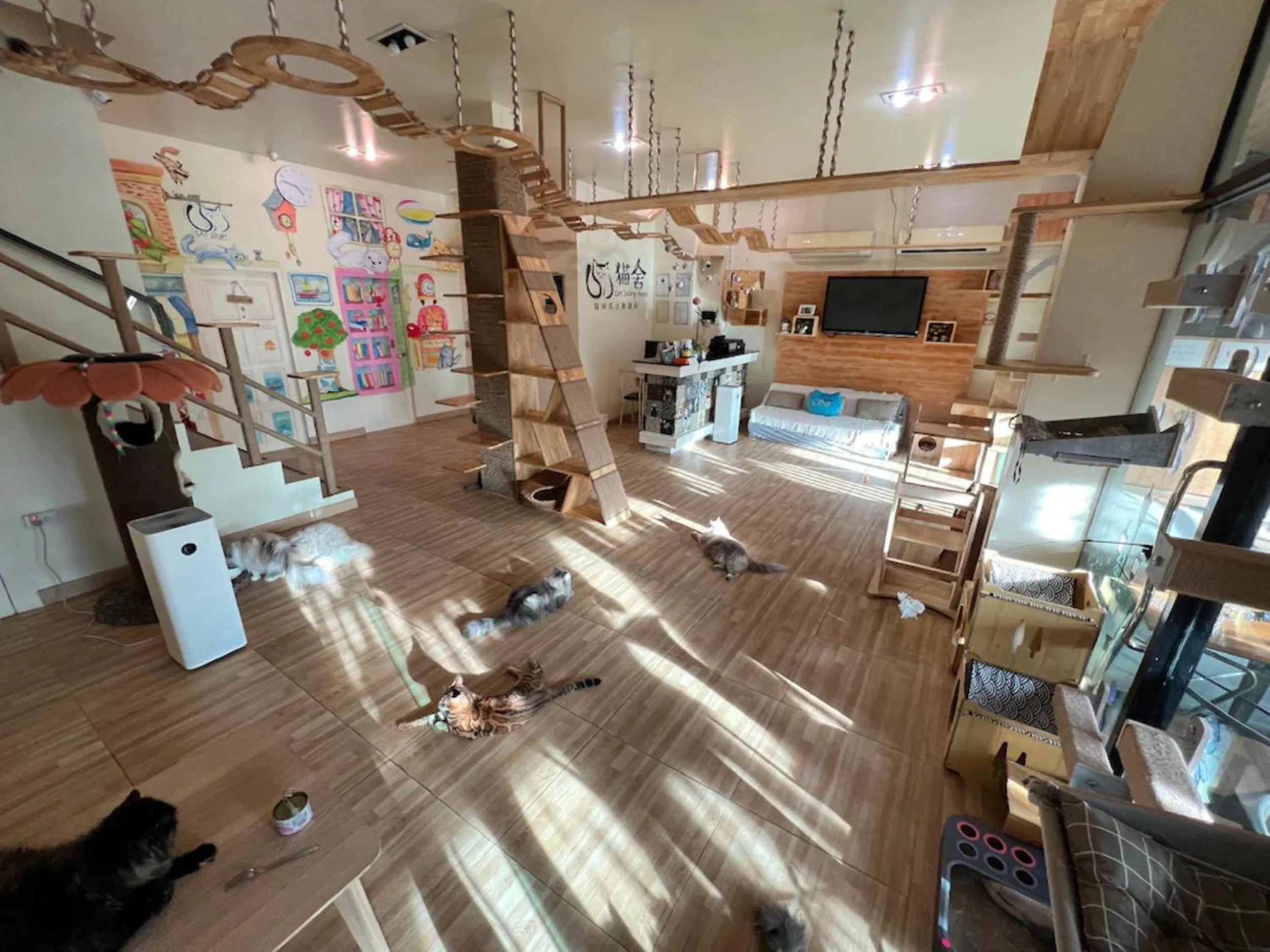 Lobby or reception in Cat Story Hotel