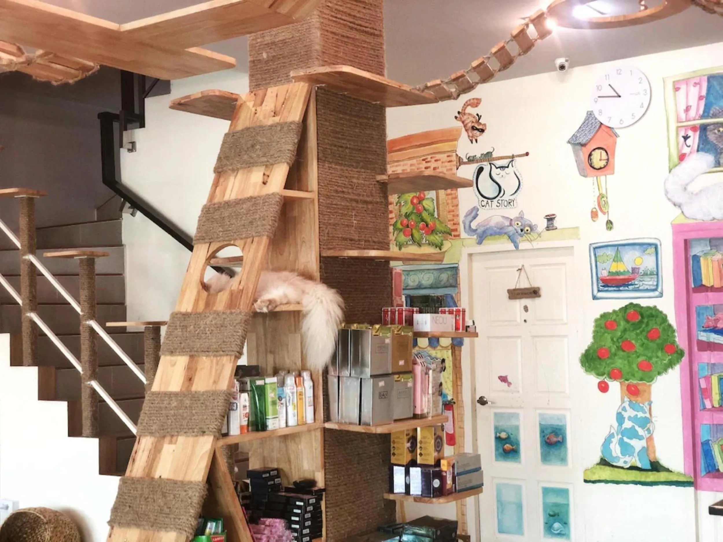 Lobby or reception in Cat Story Hotel