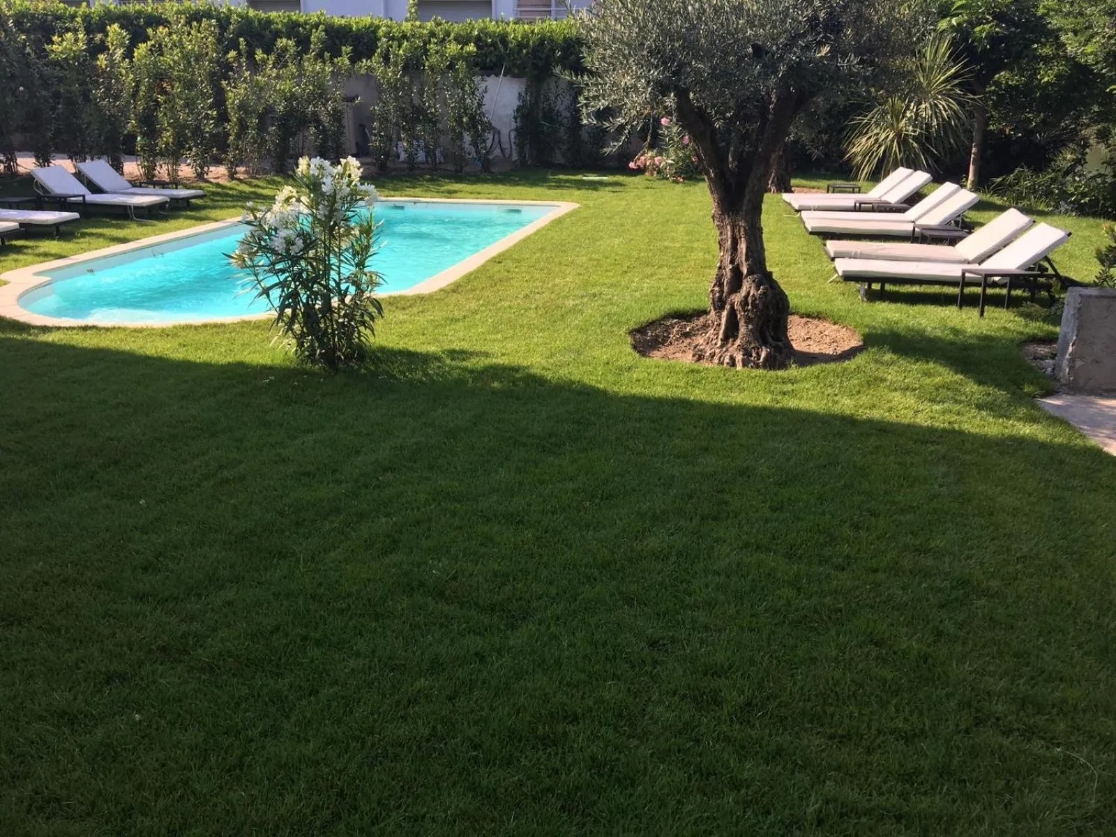 Garden in Villa Louise-Rose