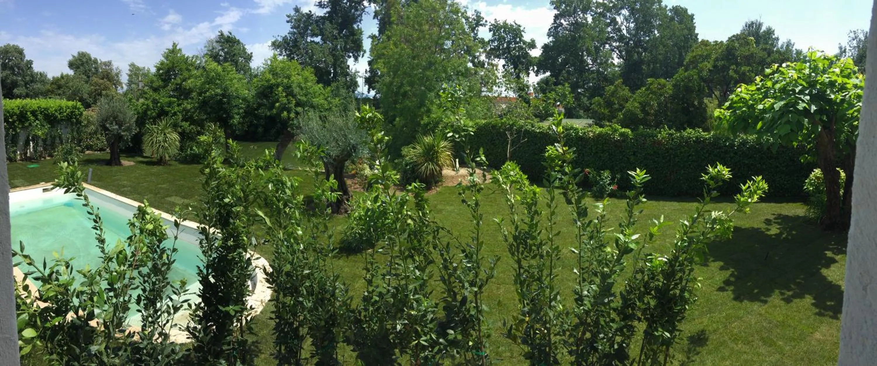 Natural landscape in Villa Louise-Rose