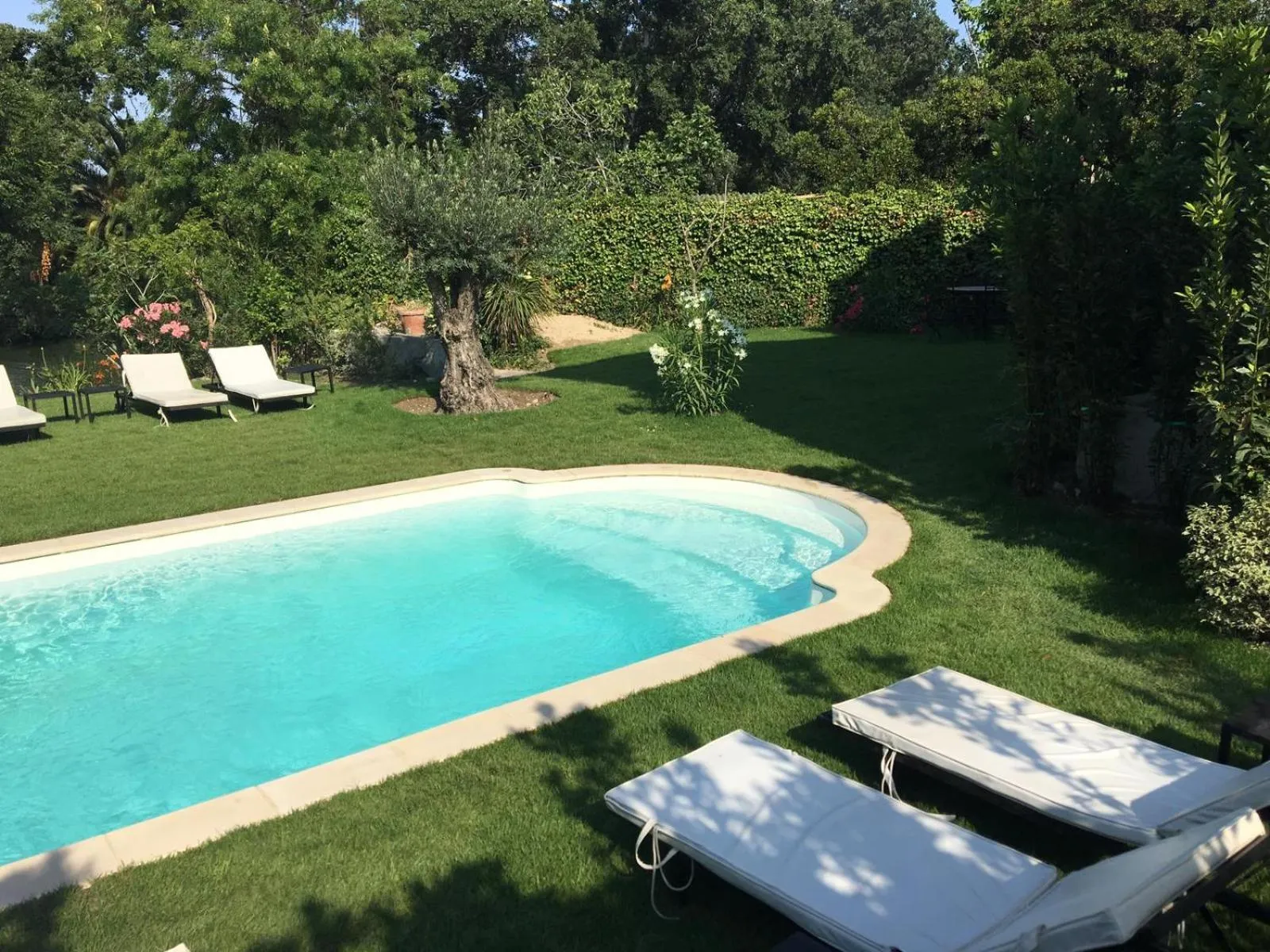 Garden in Villa Louise-Rose