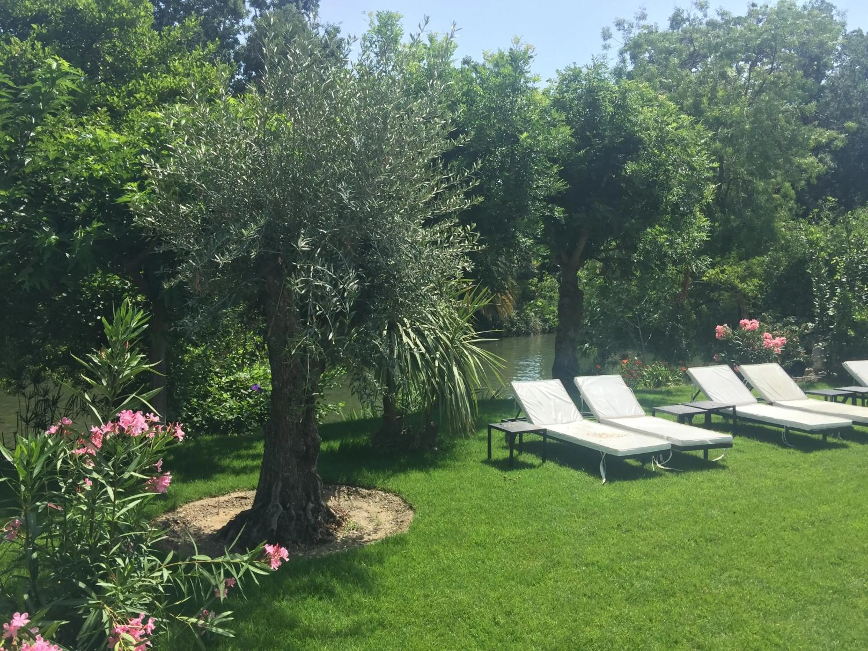 Day in Villa Louise-Rose