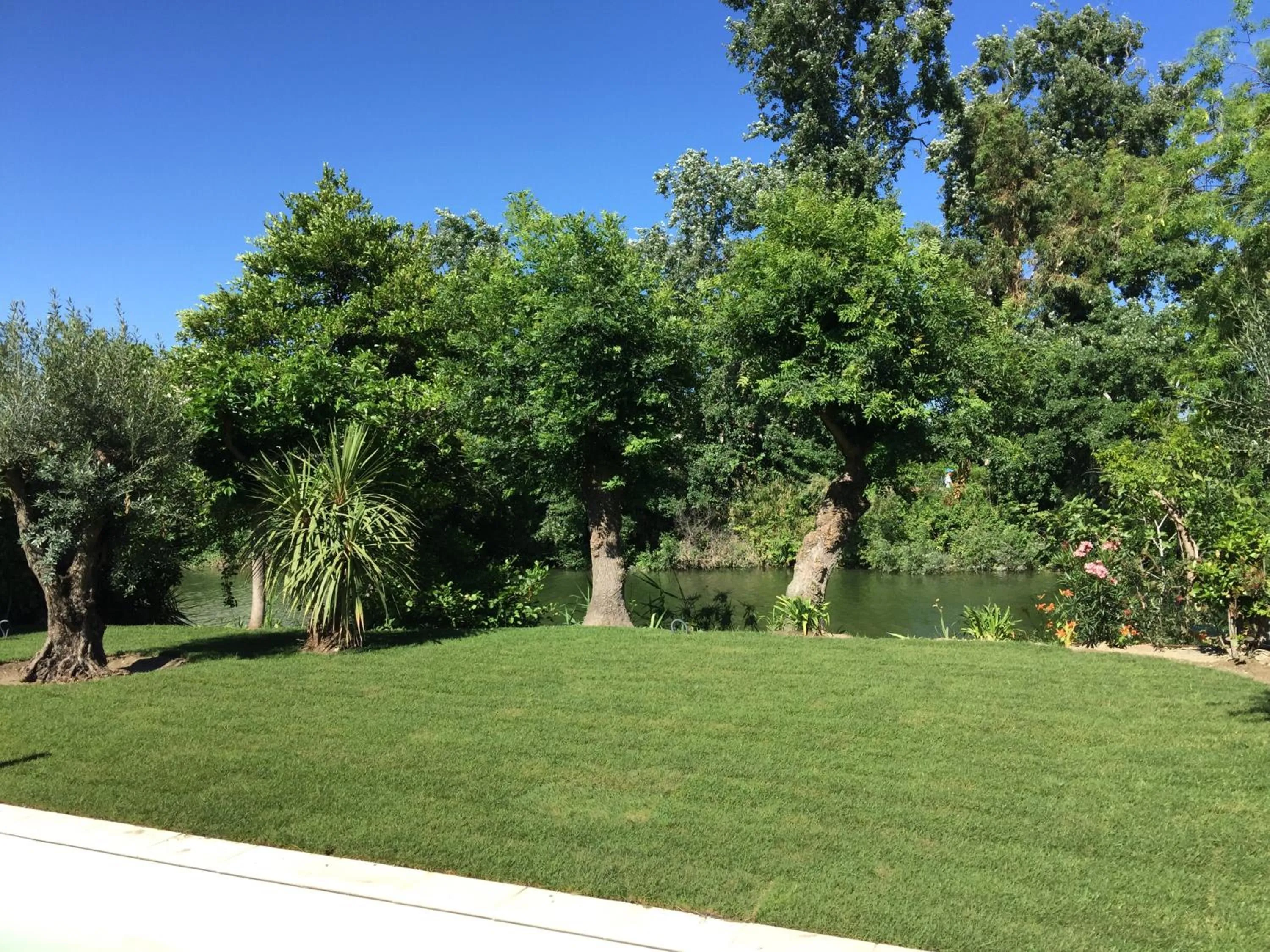 Garden in Villa Louise-Rose