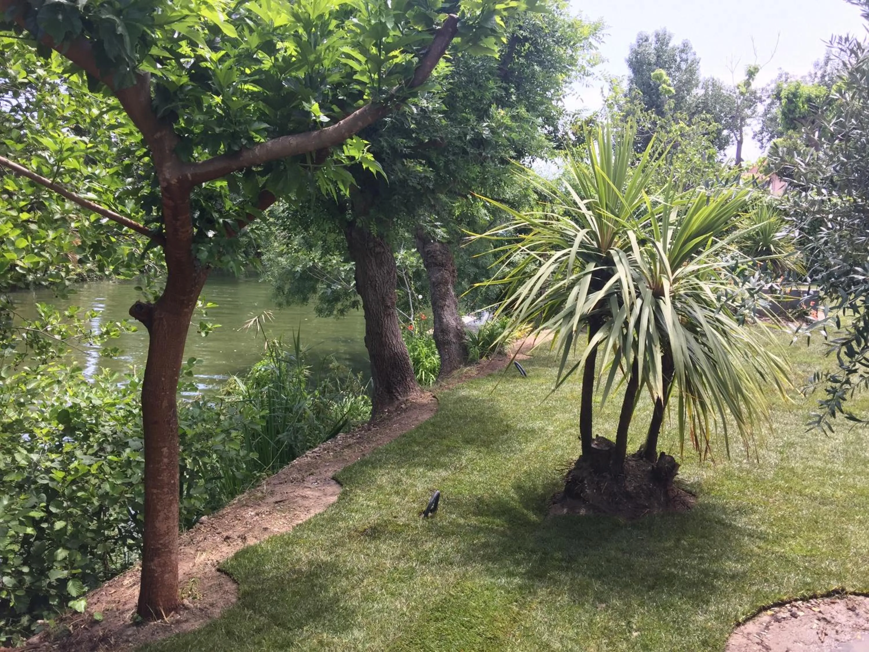 Garden in Villa Louise-Rose