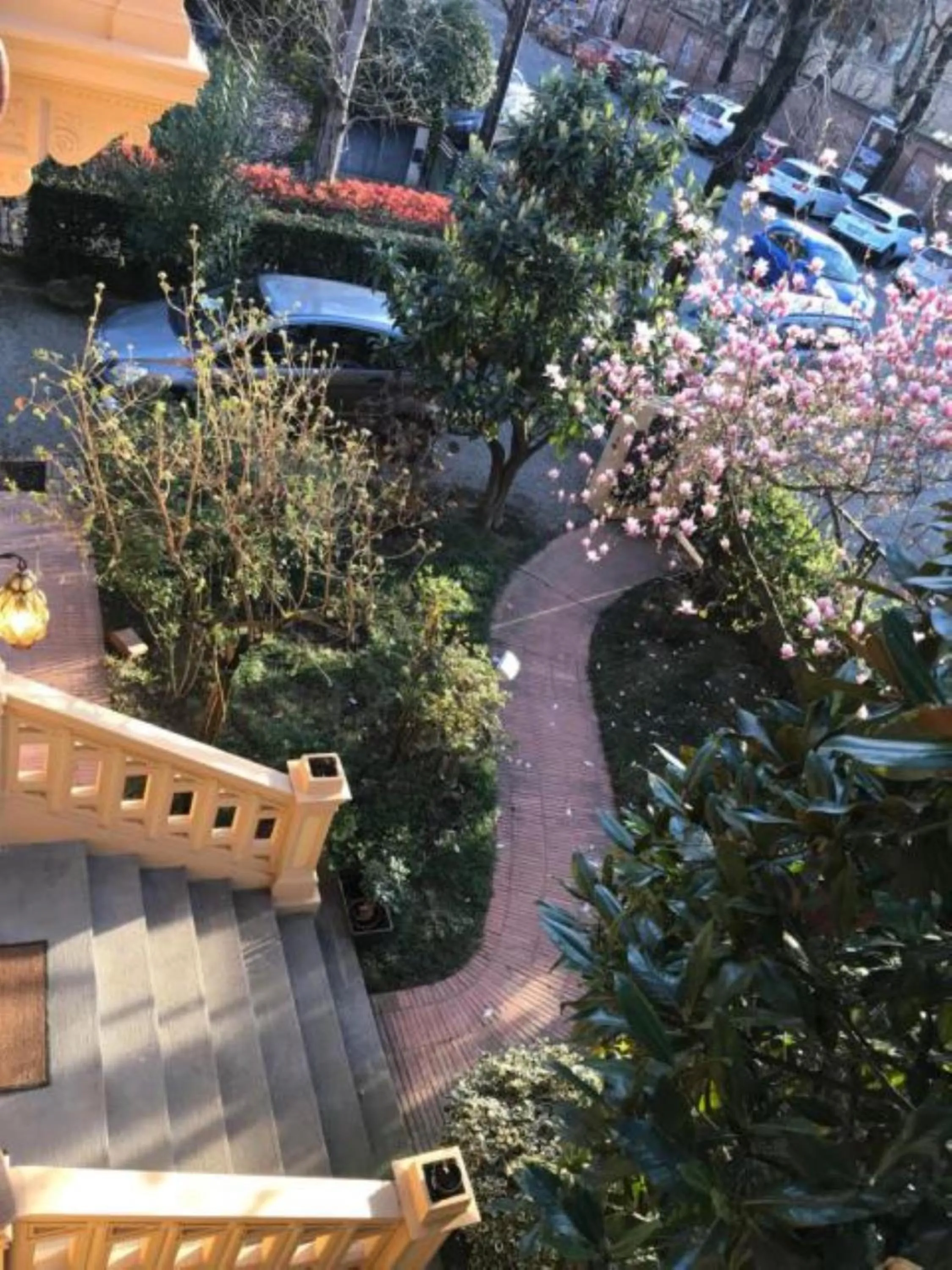 Garden in VILLA MASI Rental Rooms