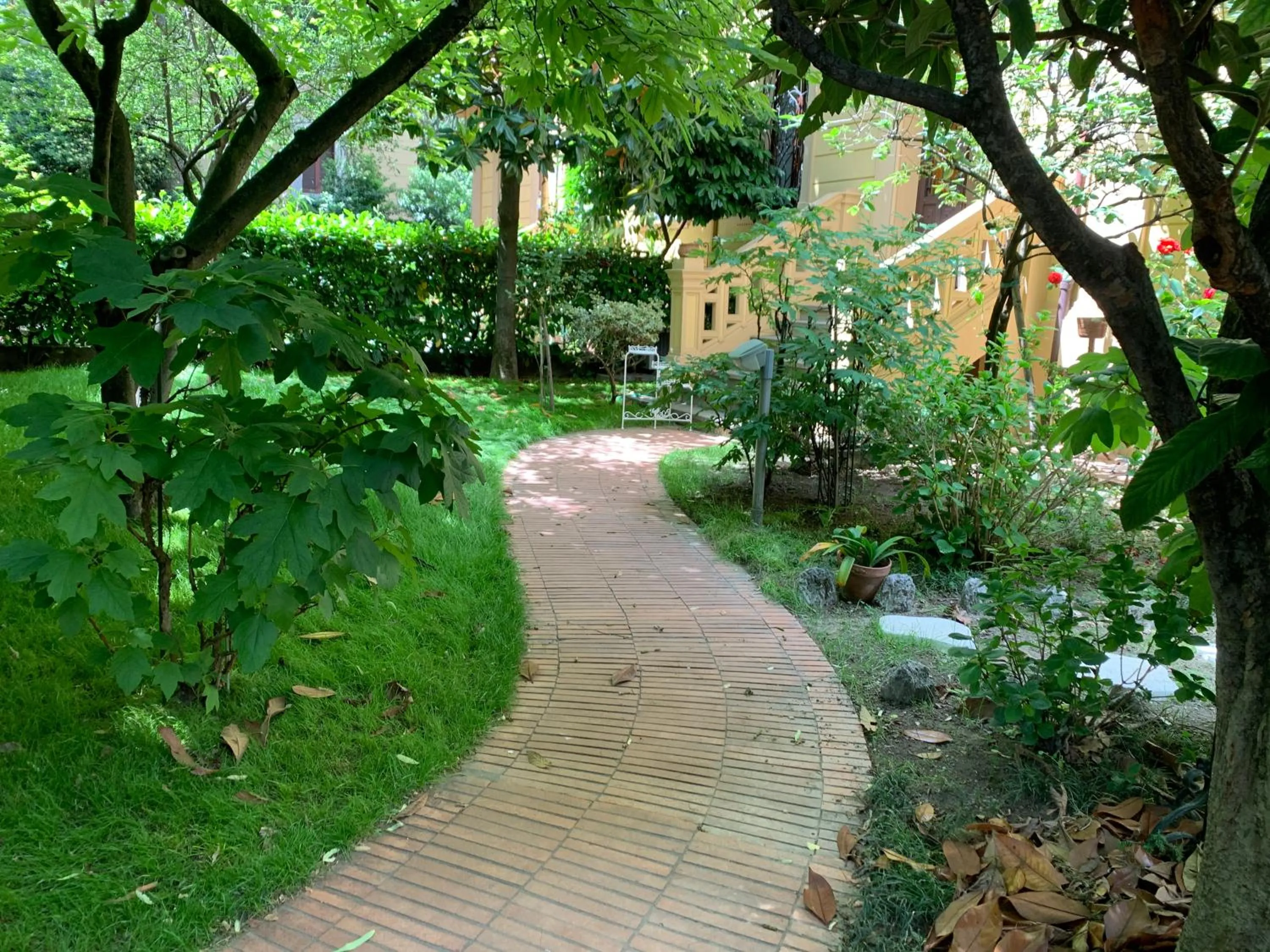 Garden in VILLA MASI Rental Rooms
