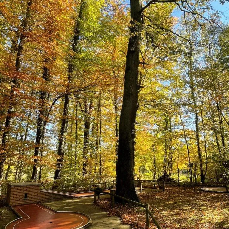 Area and facilities in Hotel Schneider-Hof self check-in kostenlos Parken nähe Golfplatz und Vitasol