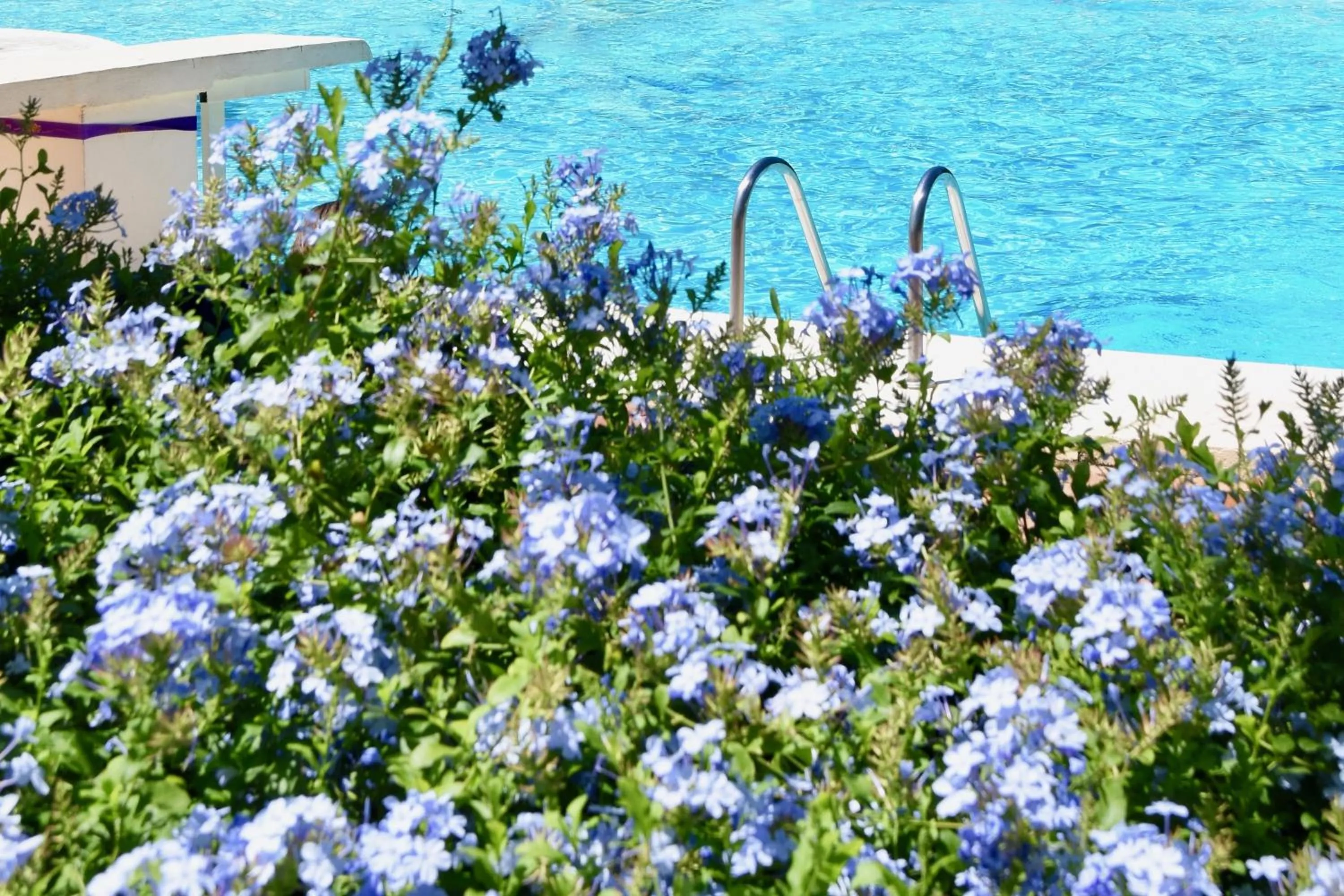 Swimming pool in Les Suites De Pertamina