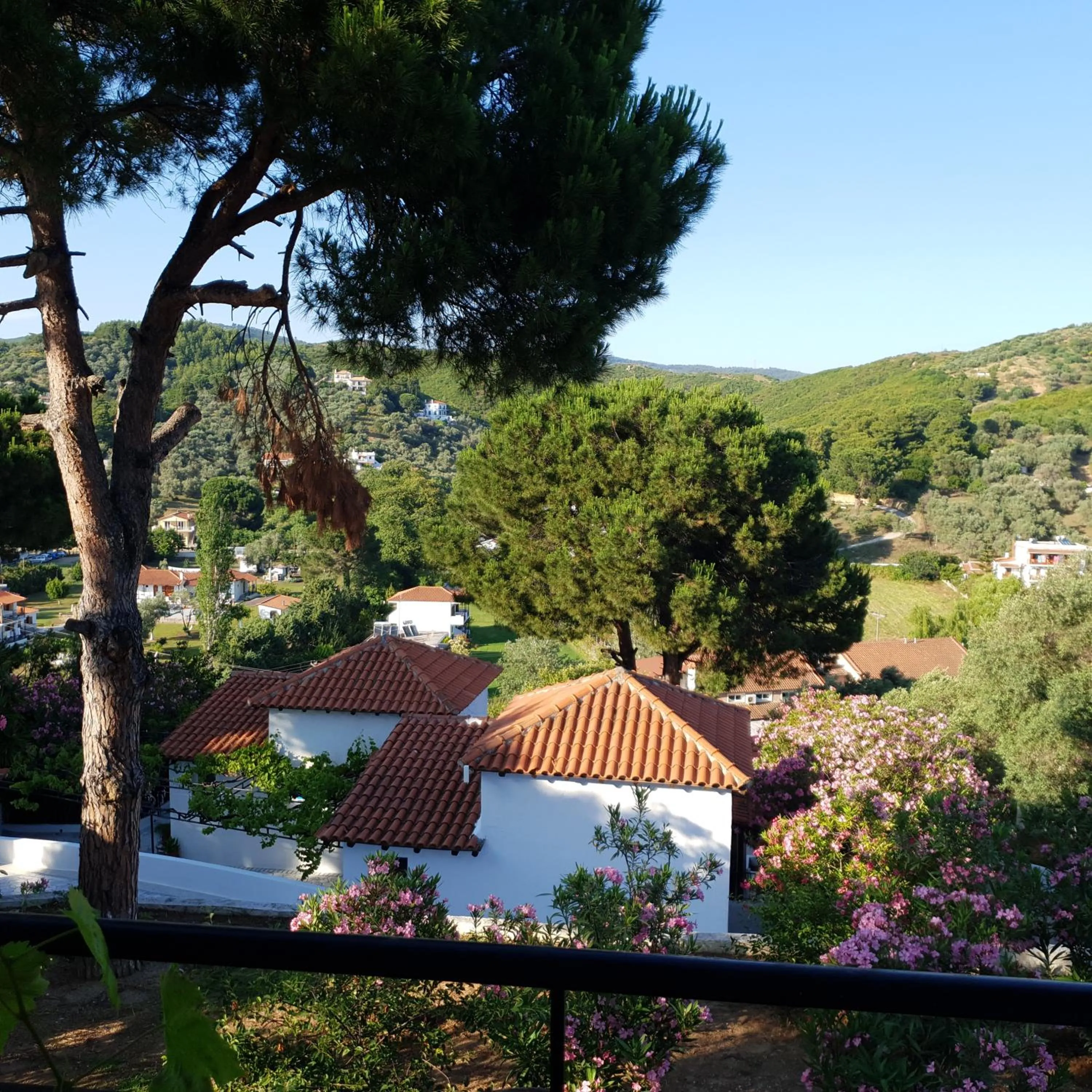 Garden view in Villa Elpiniki
