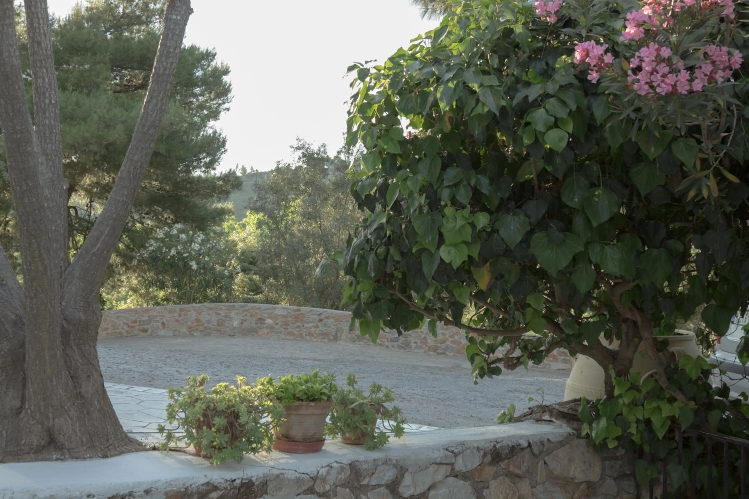 Natural landscape in Villa Elpiniki