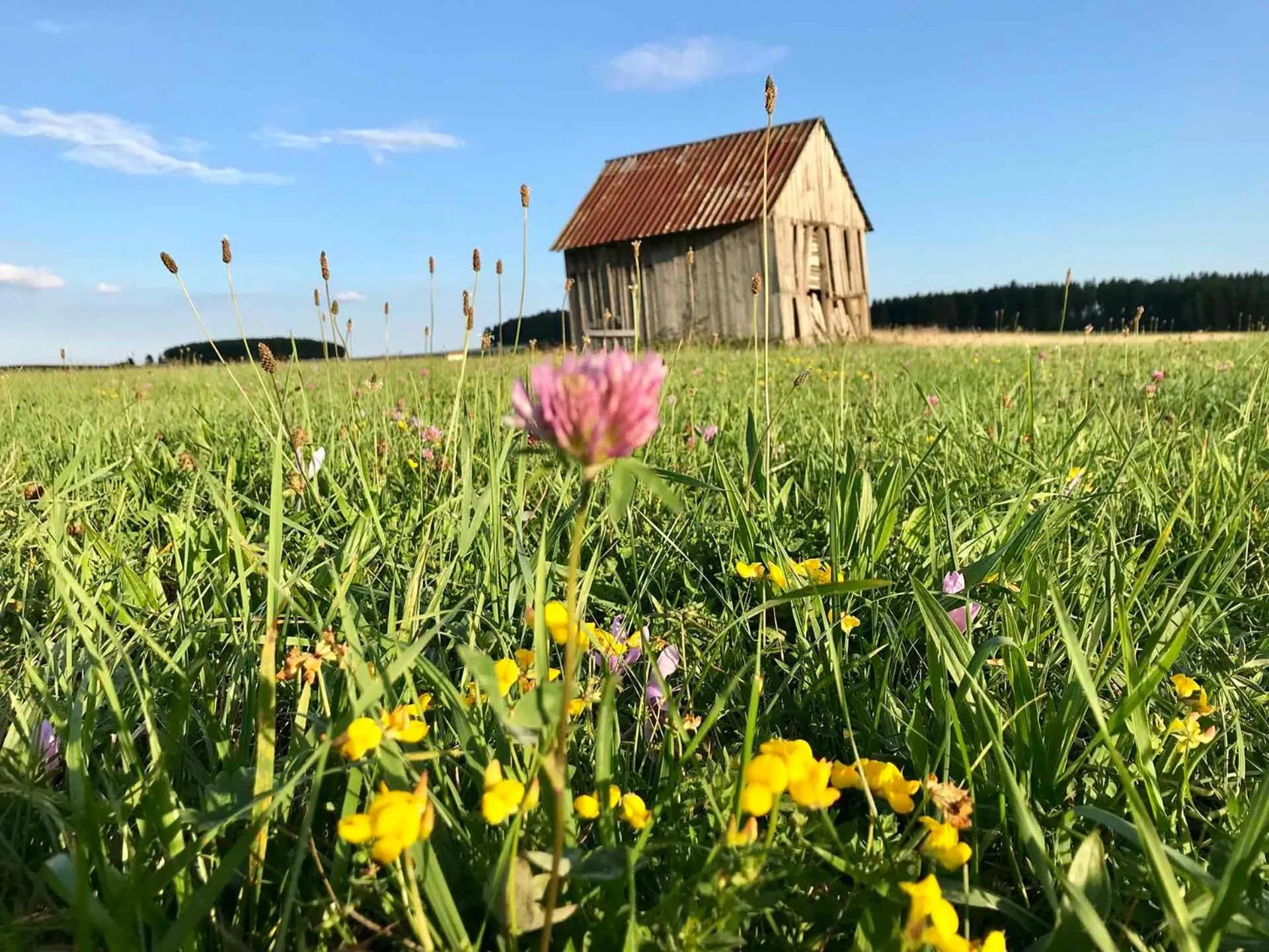 Natural landscape in Gästehaus Rössle