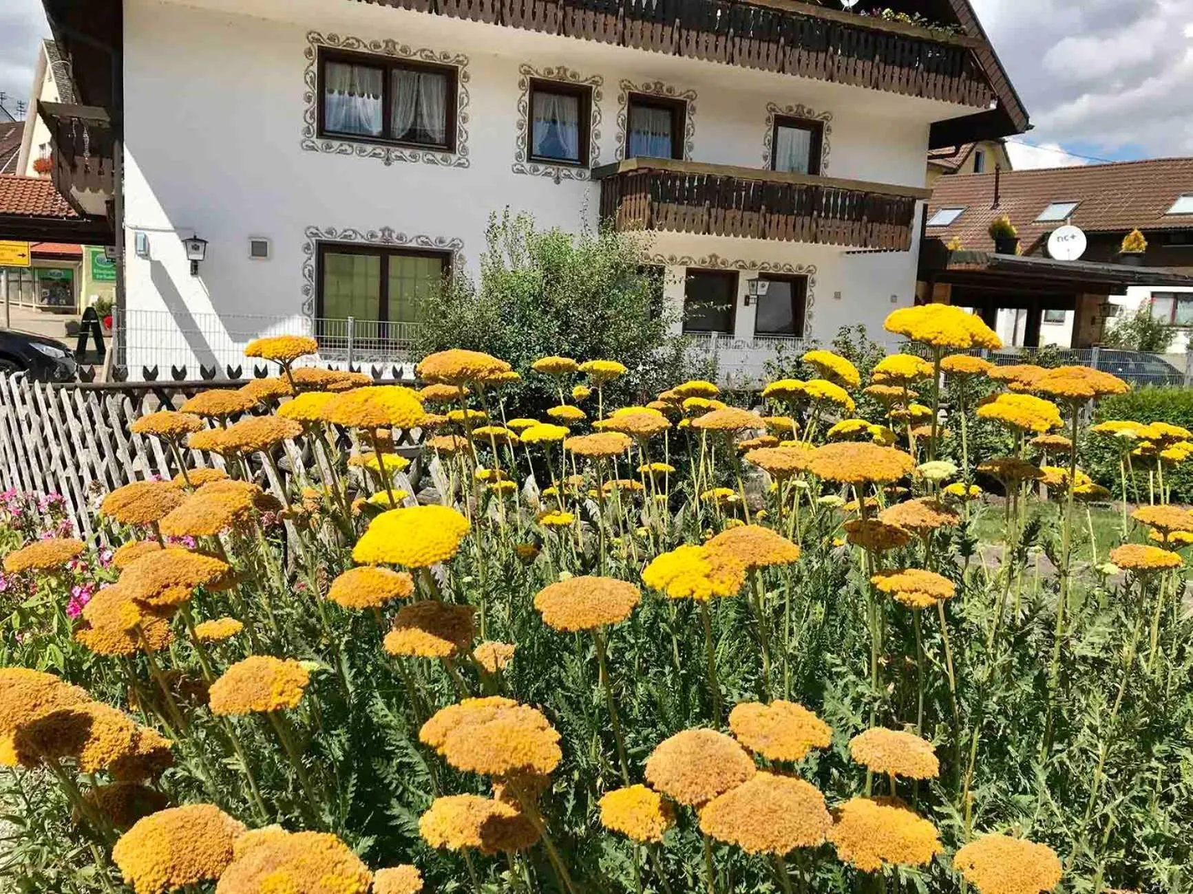 Garden in Gästehaus Rössle