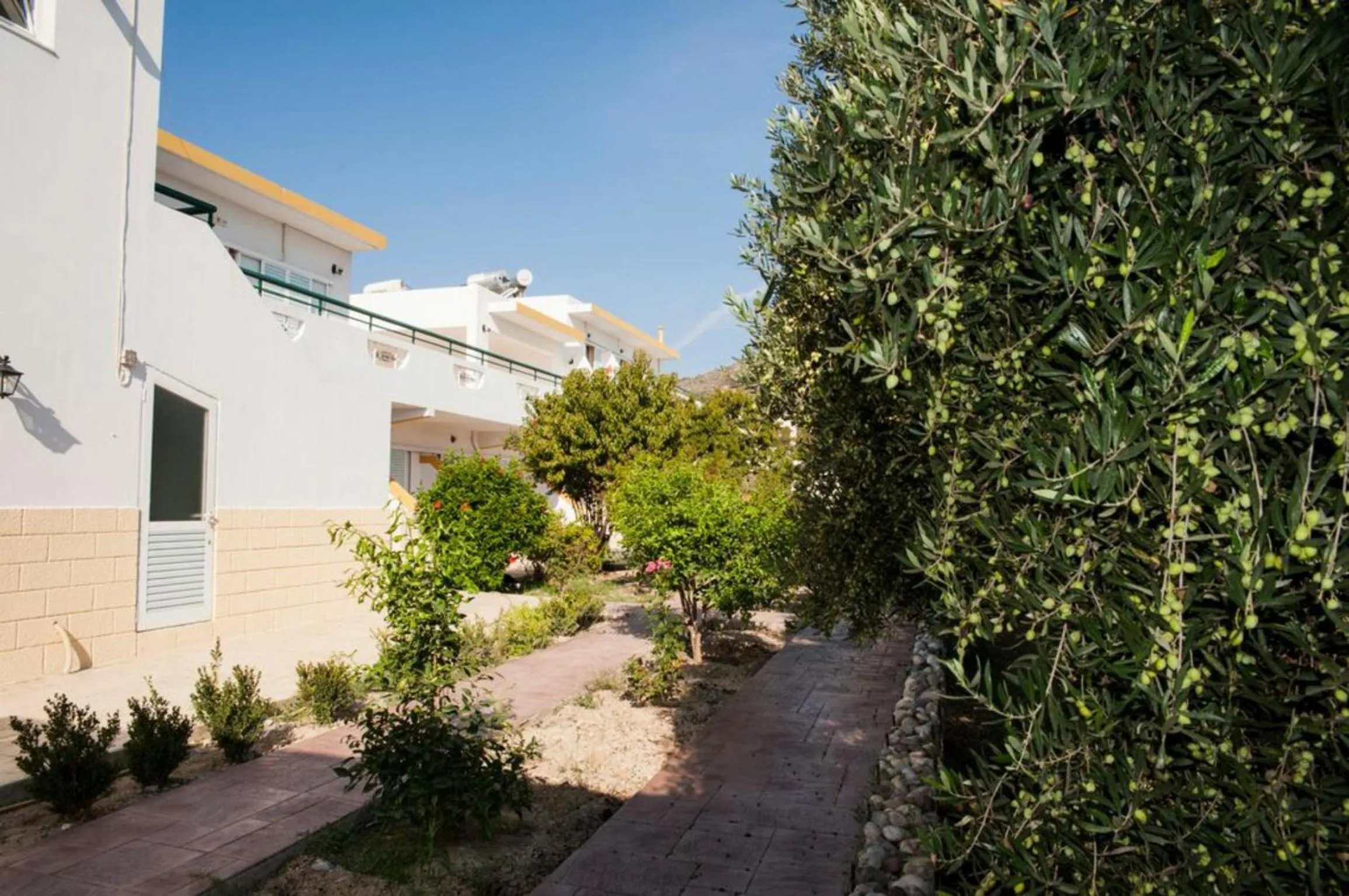 Property building in Eleni Hotel