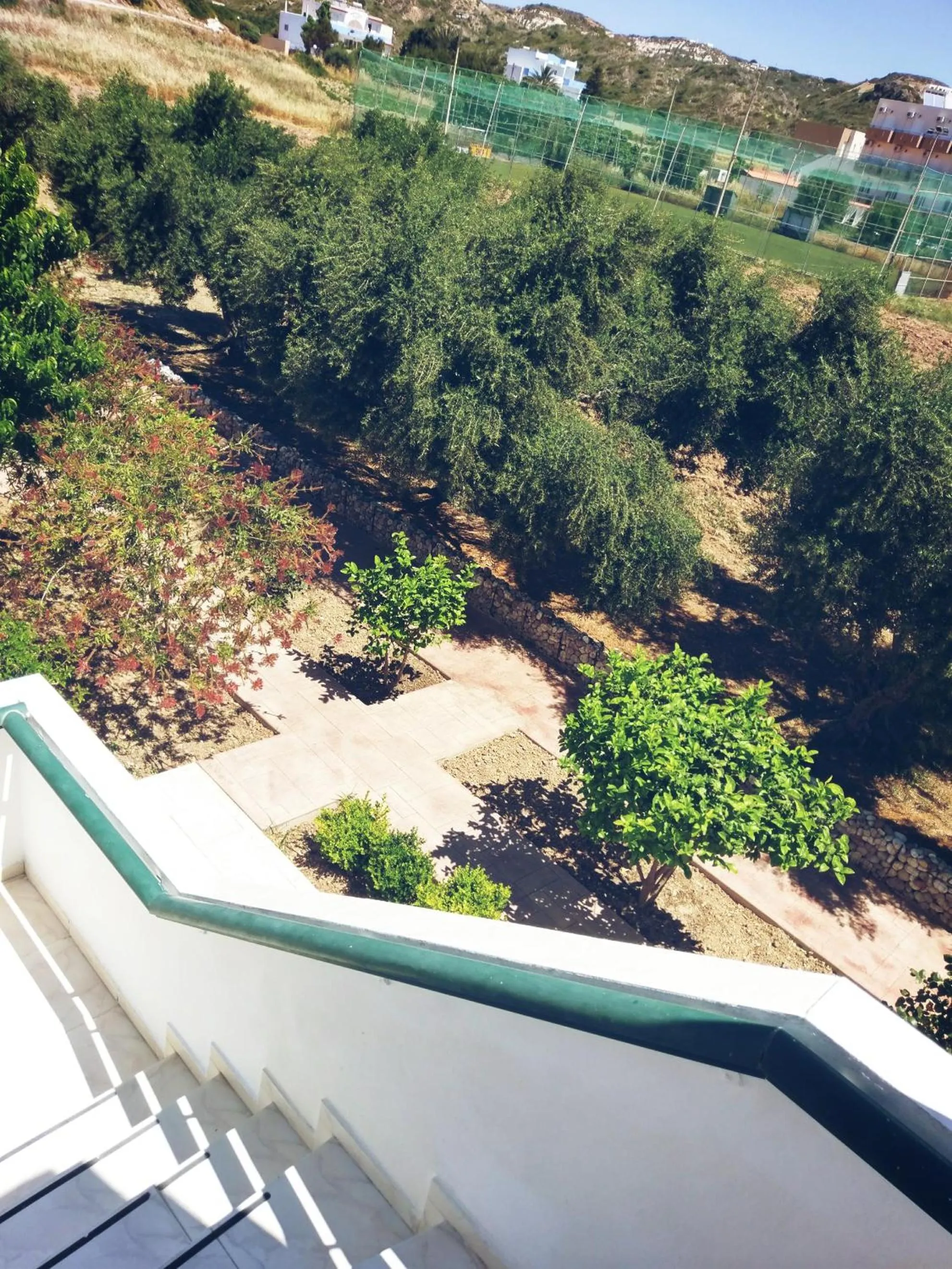 Garden in Eleni Hotel