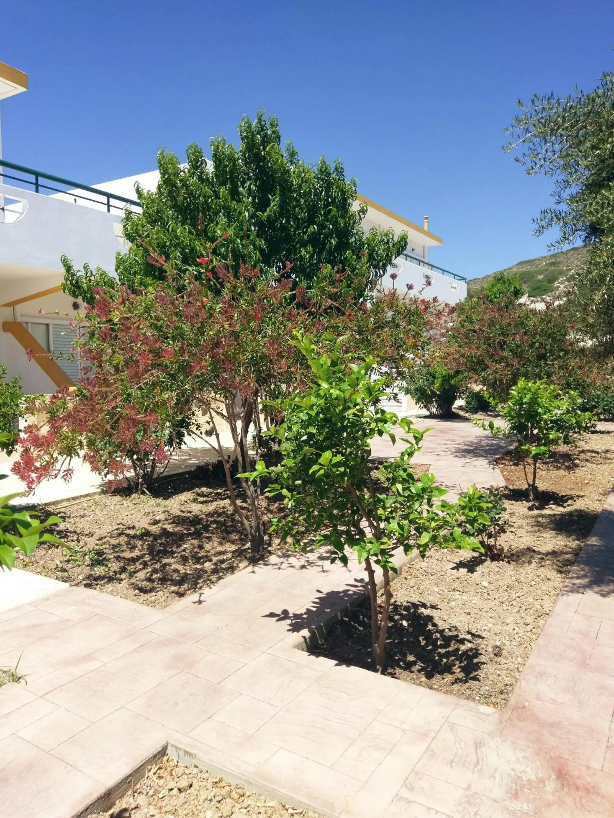 Garden in Eleni Hotel