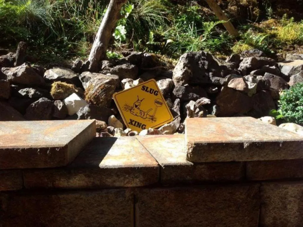 Other in LANZAROTTA Bed and Breakfast close to Eugene