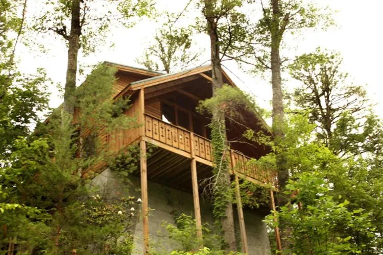 Property building in Bear Necessities