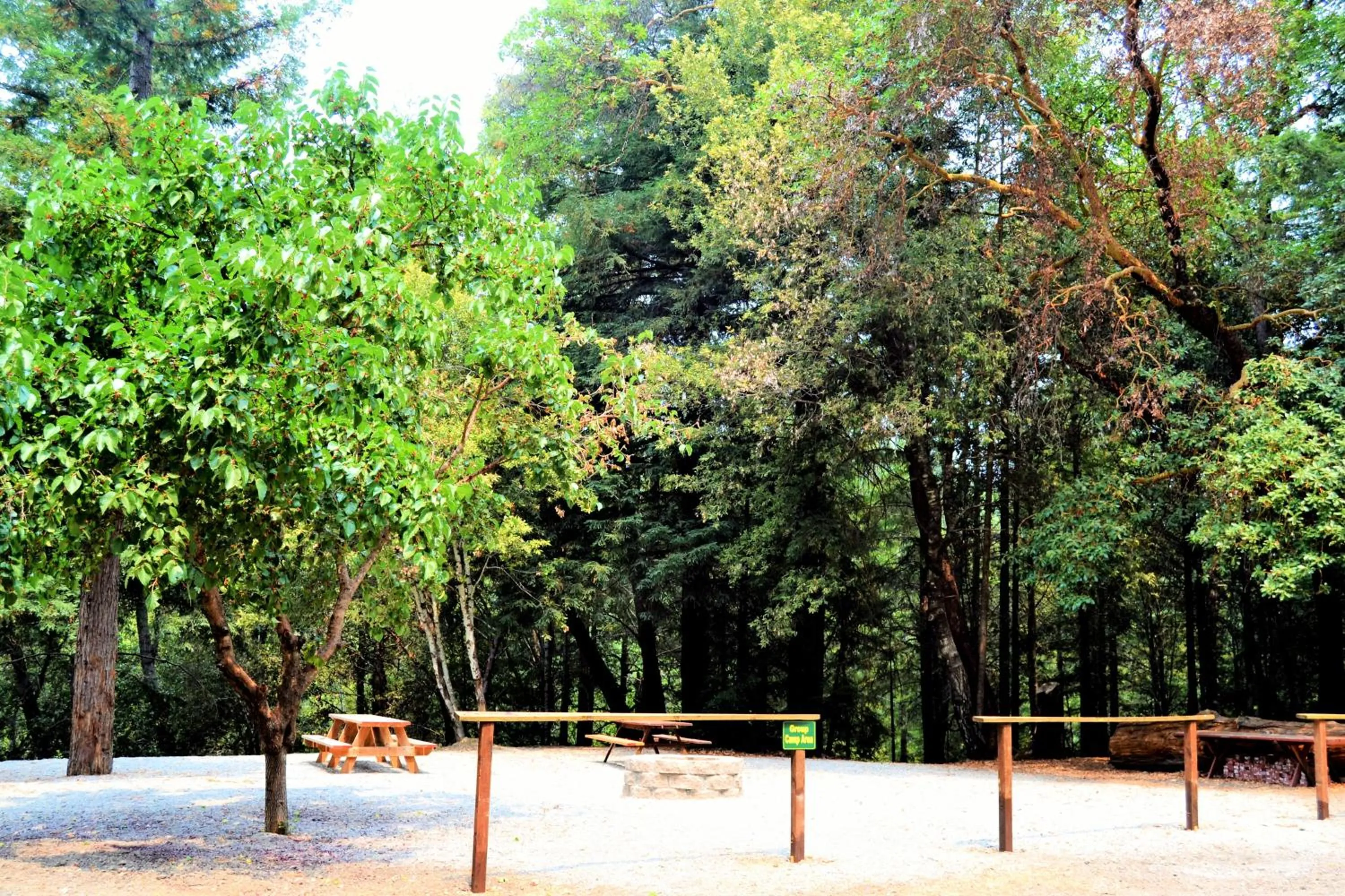 Natural landscape in Redwoods River Resort & Campground