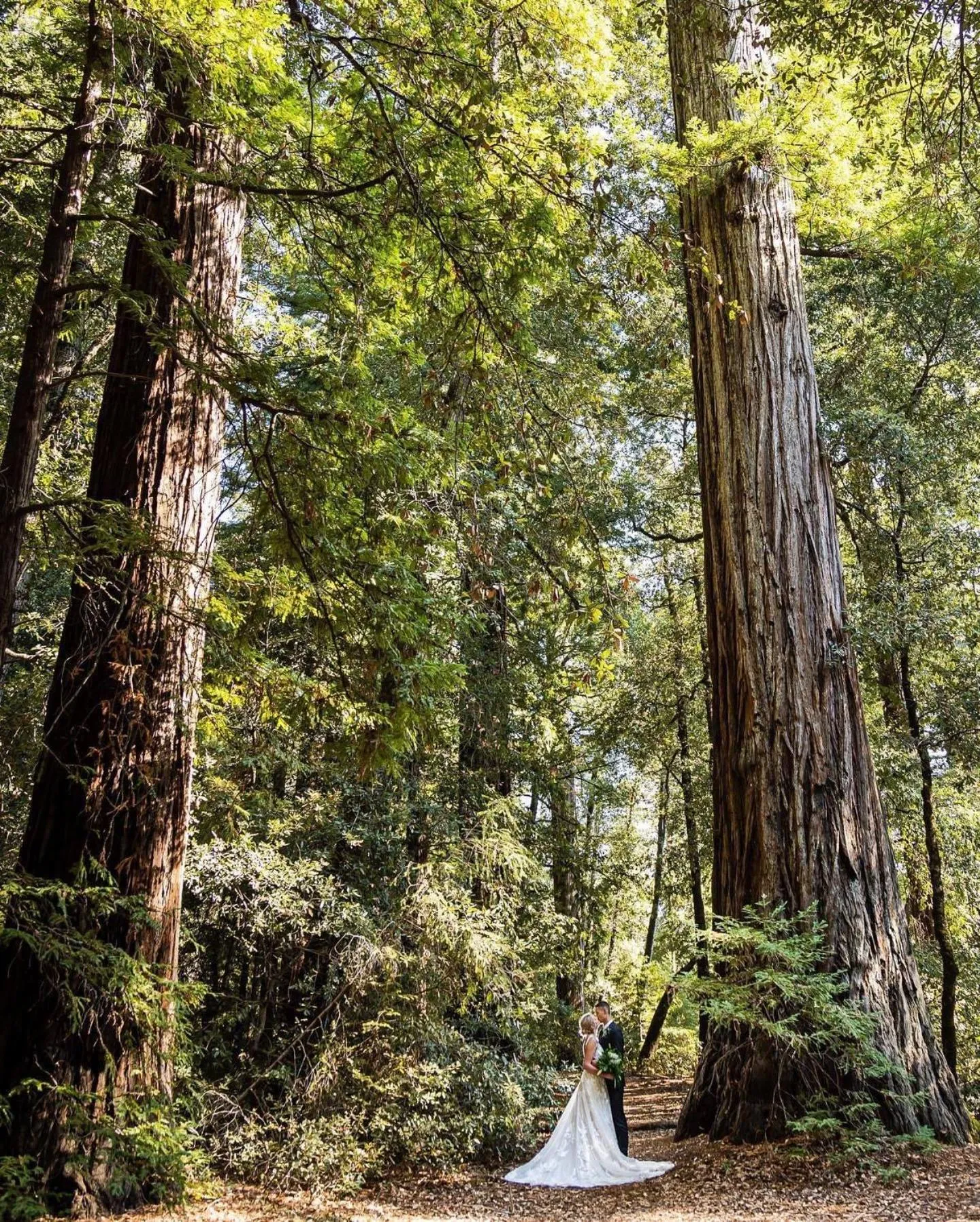 wedding in Redwoods River Resort & Campground
