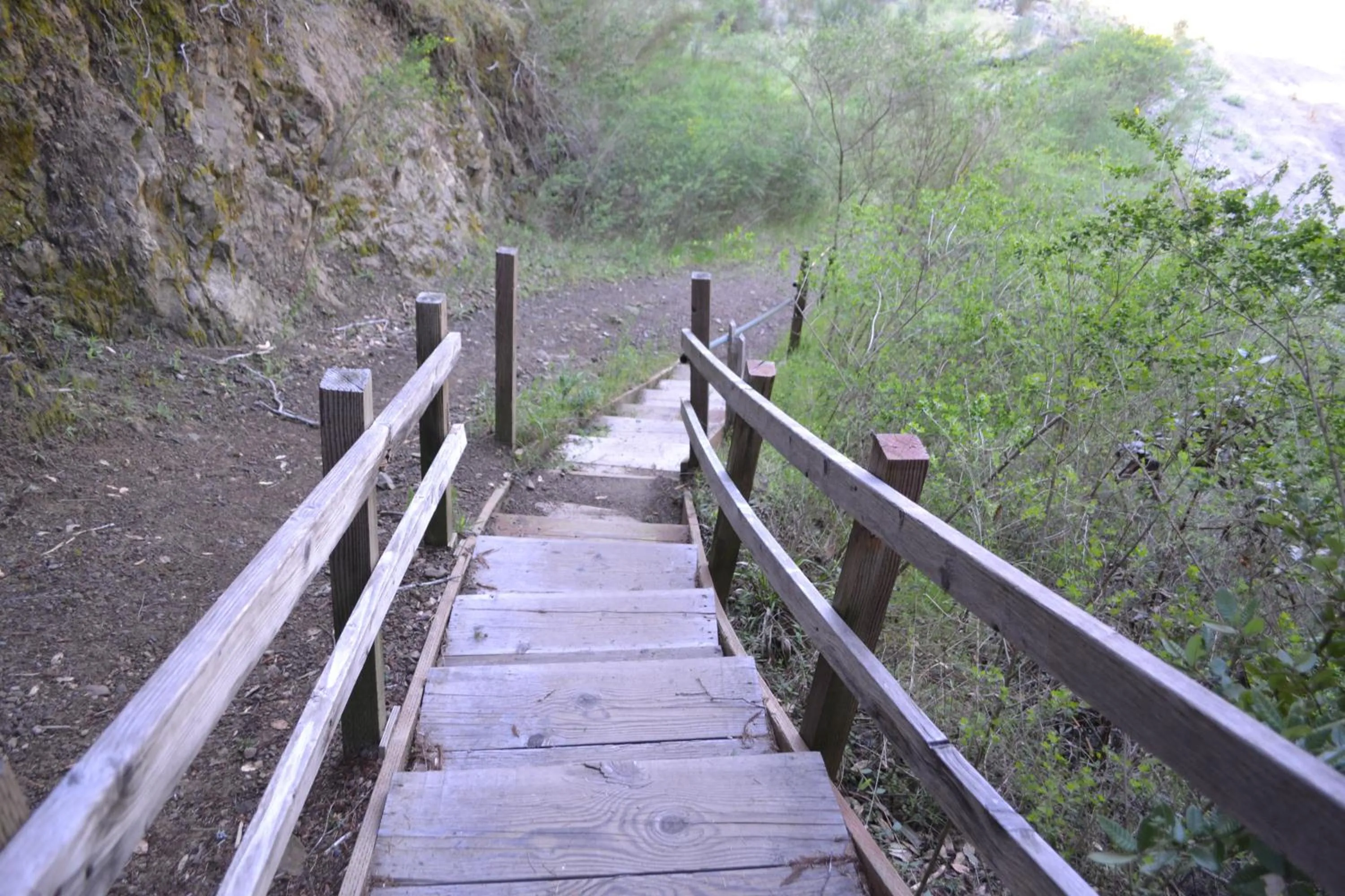 Natural landscape in Redwoods River Resort & Campground