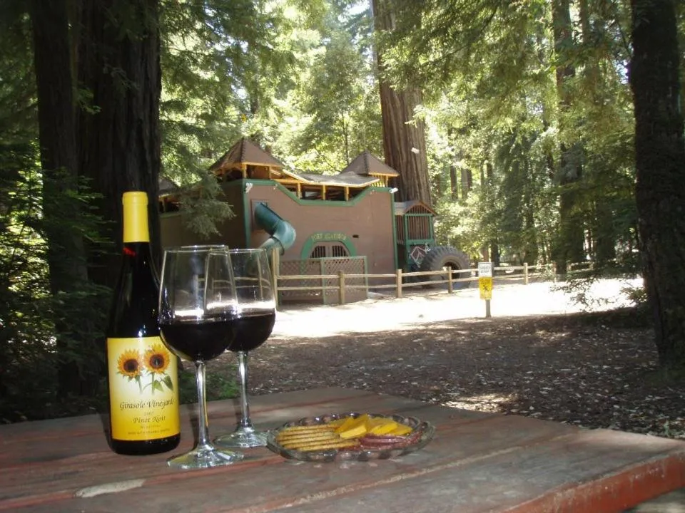 Children play ground in Redwoods River Resort & Campground