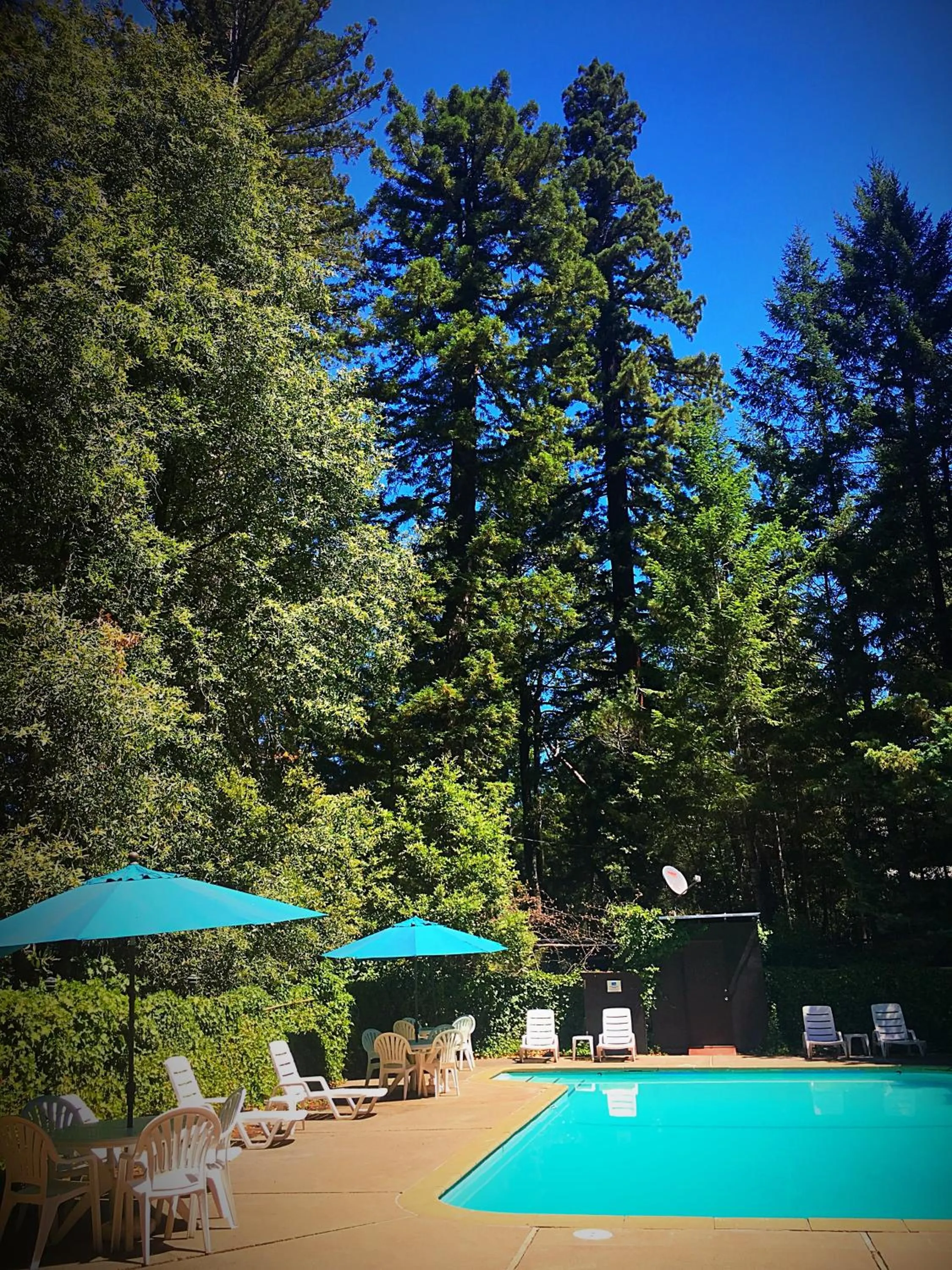 Swimming pool in Redwoods River Resort & Campground