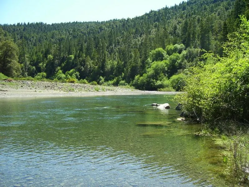 Beach in Redwoods River Resort & Campground