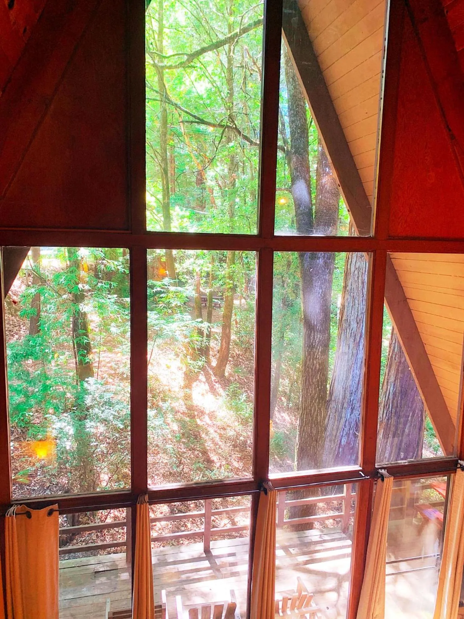 View (from property/room) in Redwoods River Resort & Campground