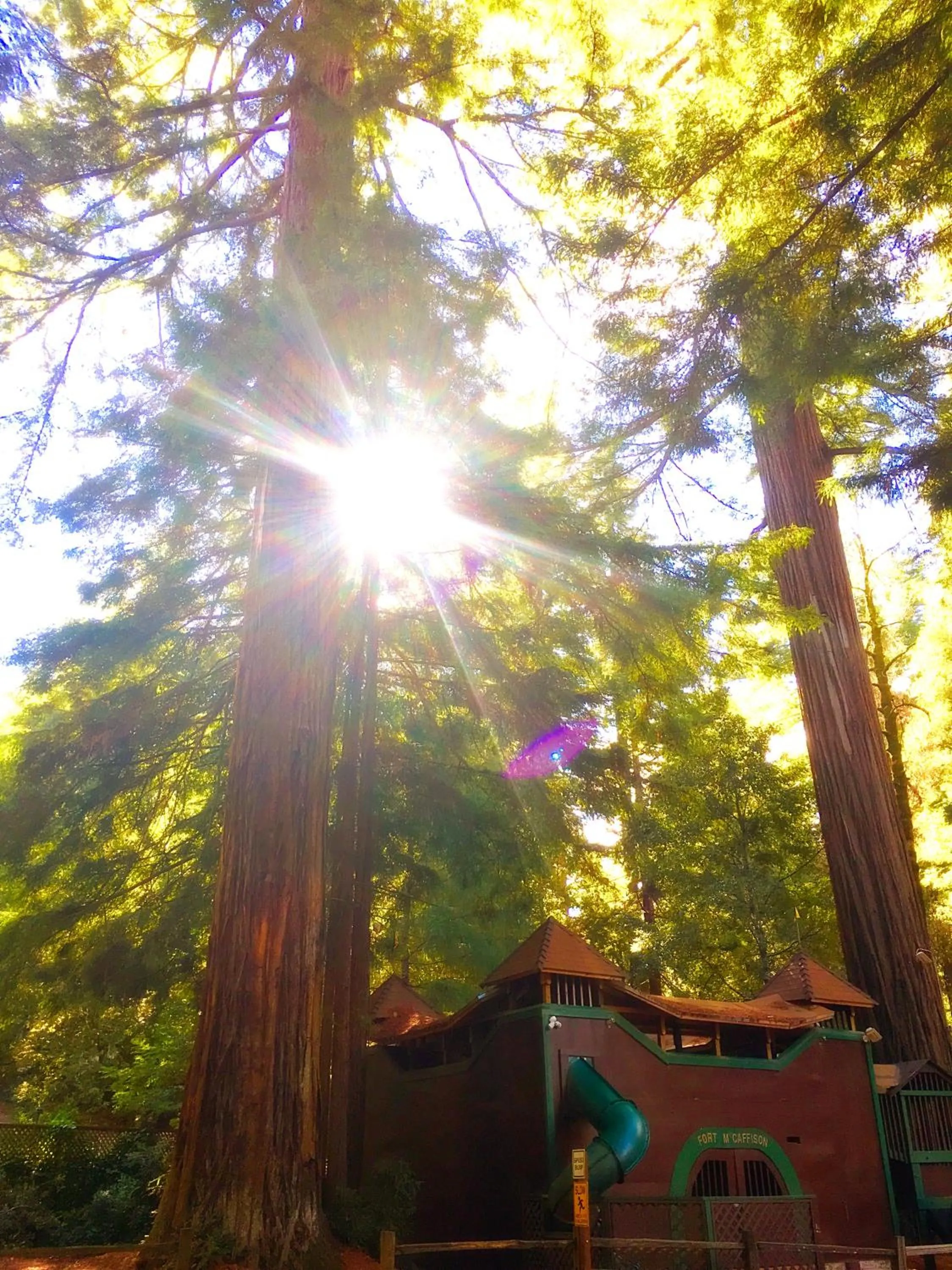 Children play ground in Redwoods River Resort & Campground