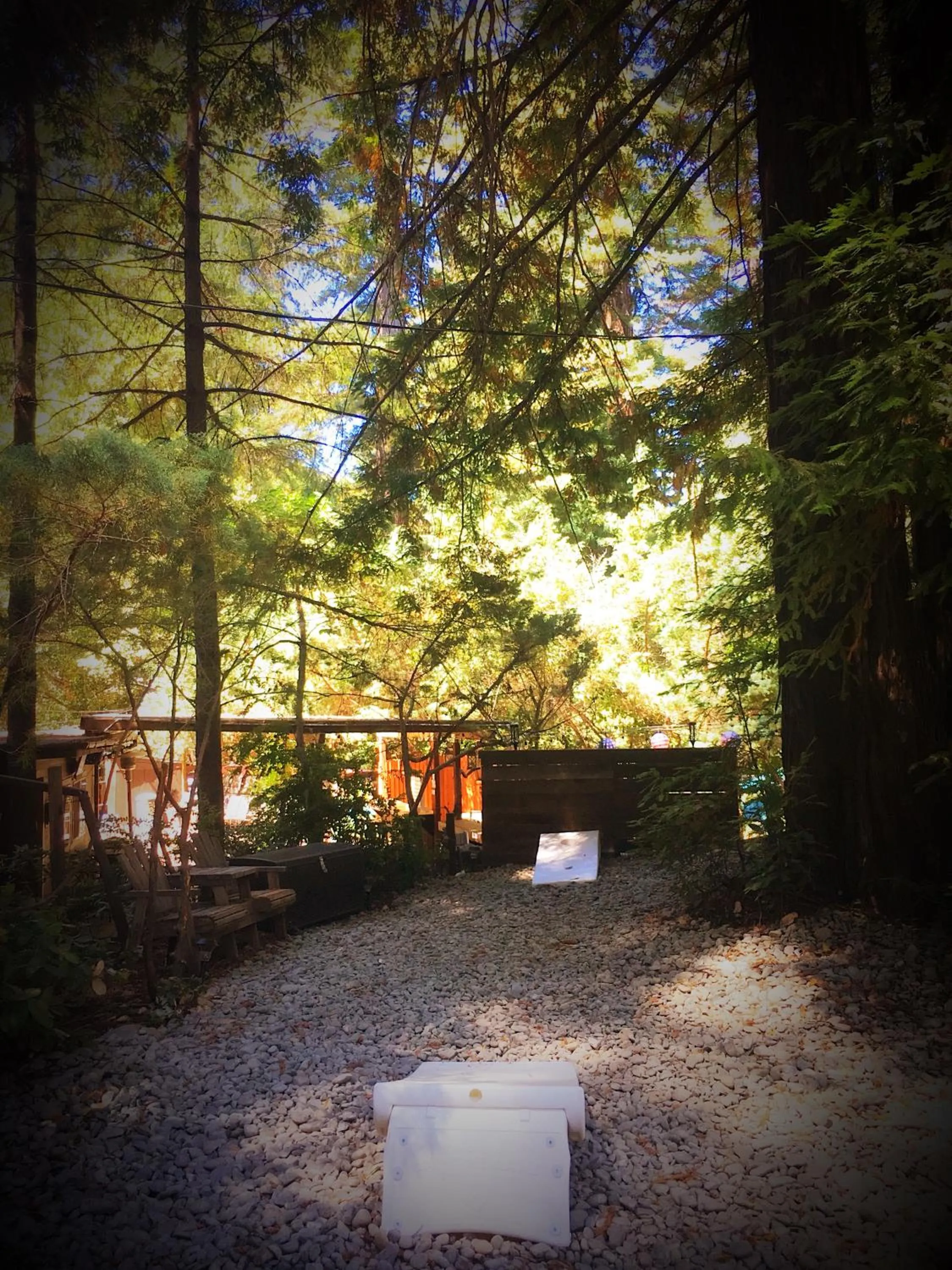 Activities in Redwoods River Resort & Campground