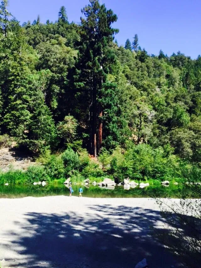 Beach in Redwoods River Resort & Campground