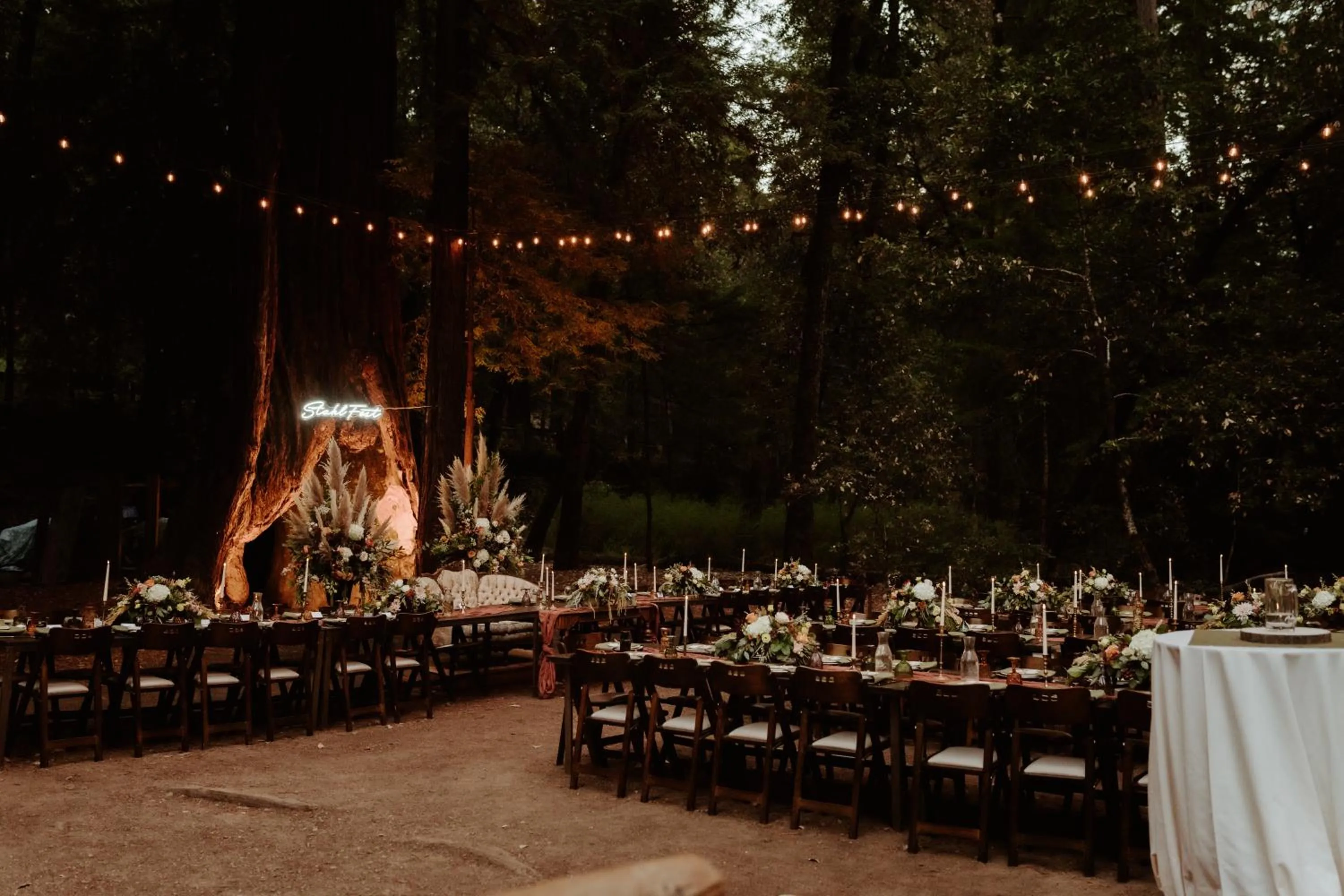 Natural landscape in Redwoods River Resort & Campground