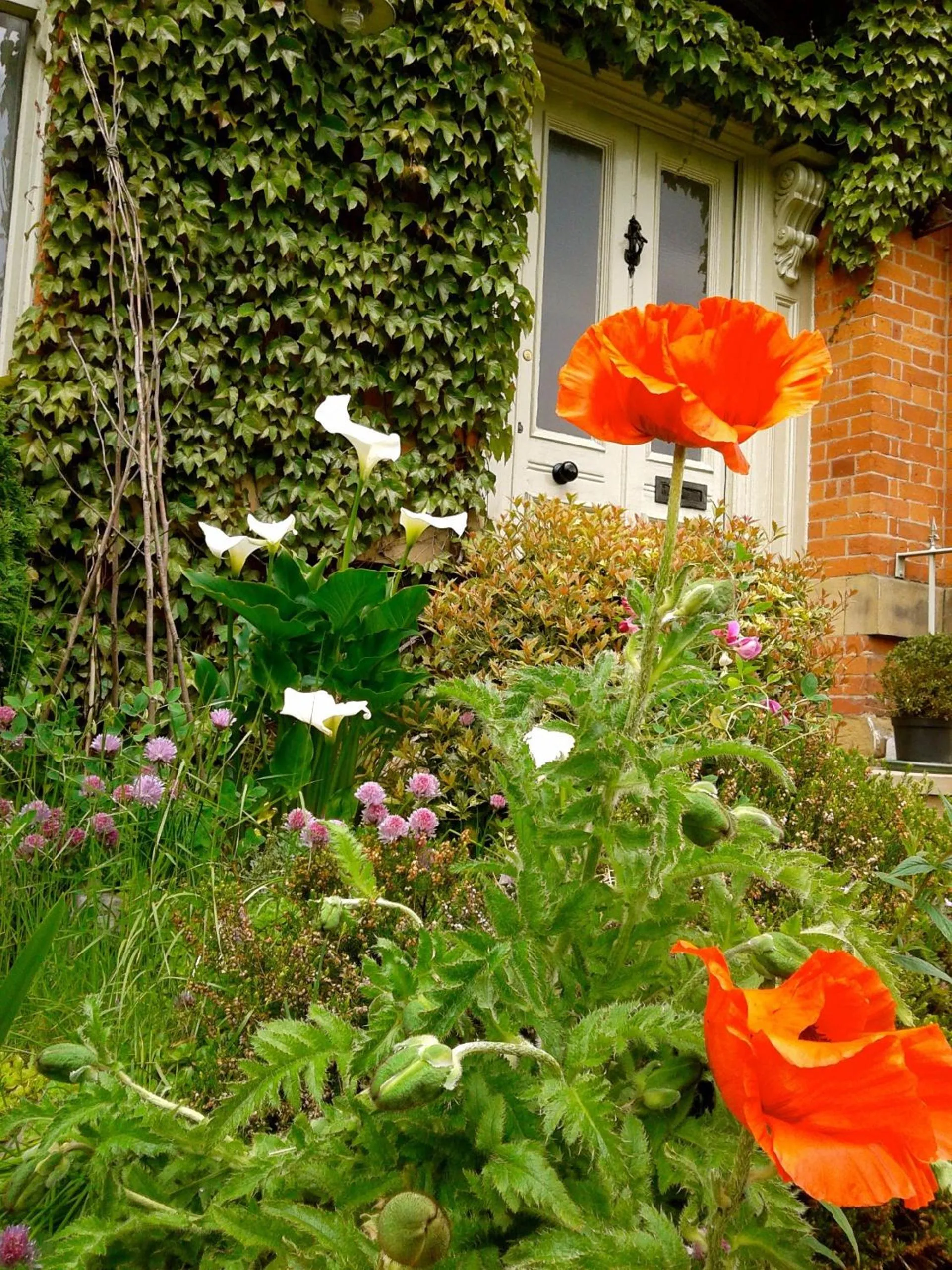 Garden in OYO Cornerstone Manor Hotel