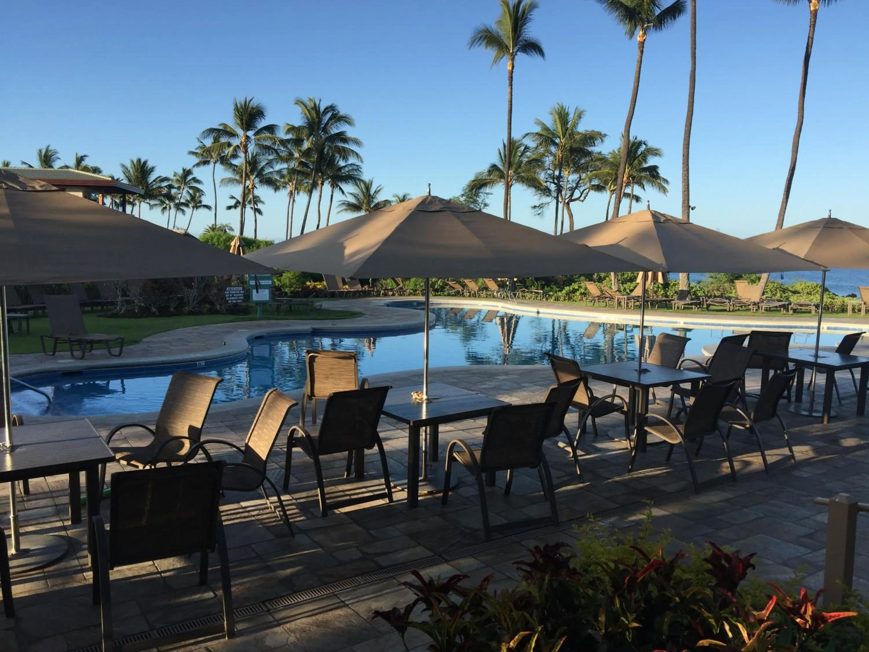 Swimming pool in 9B EKAHI VILLAGE-STUDIO BATH, GARDEN VIEW - 1 MINUTE STROLL to BEACH!