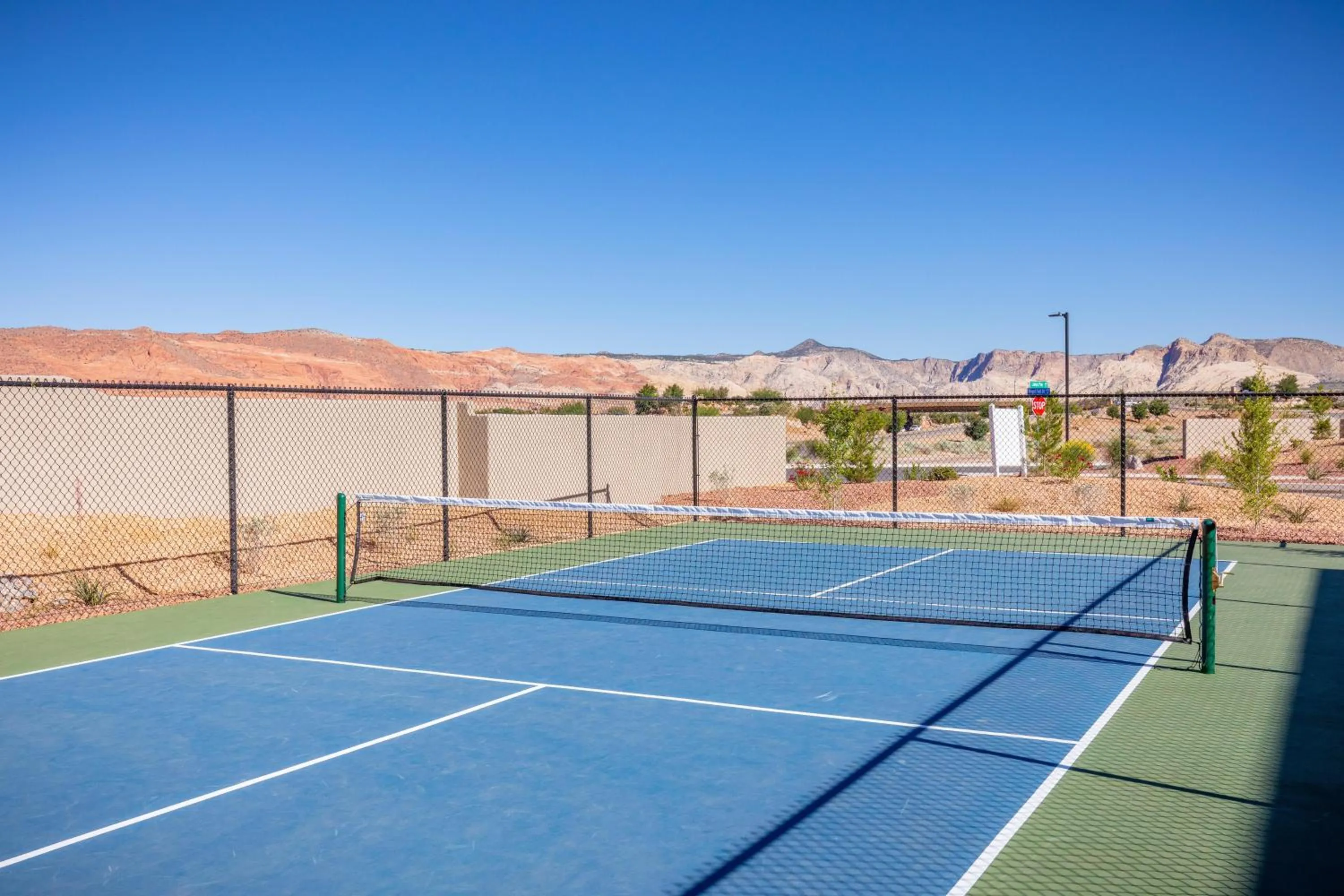 The Pickleball Palace