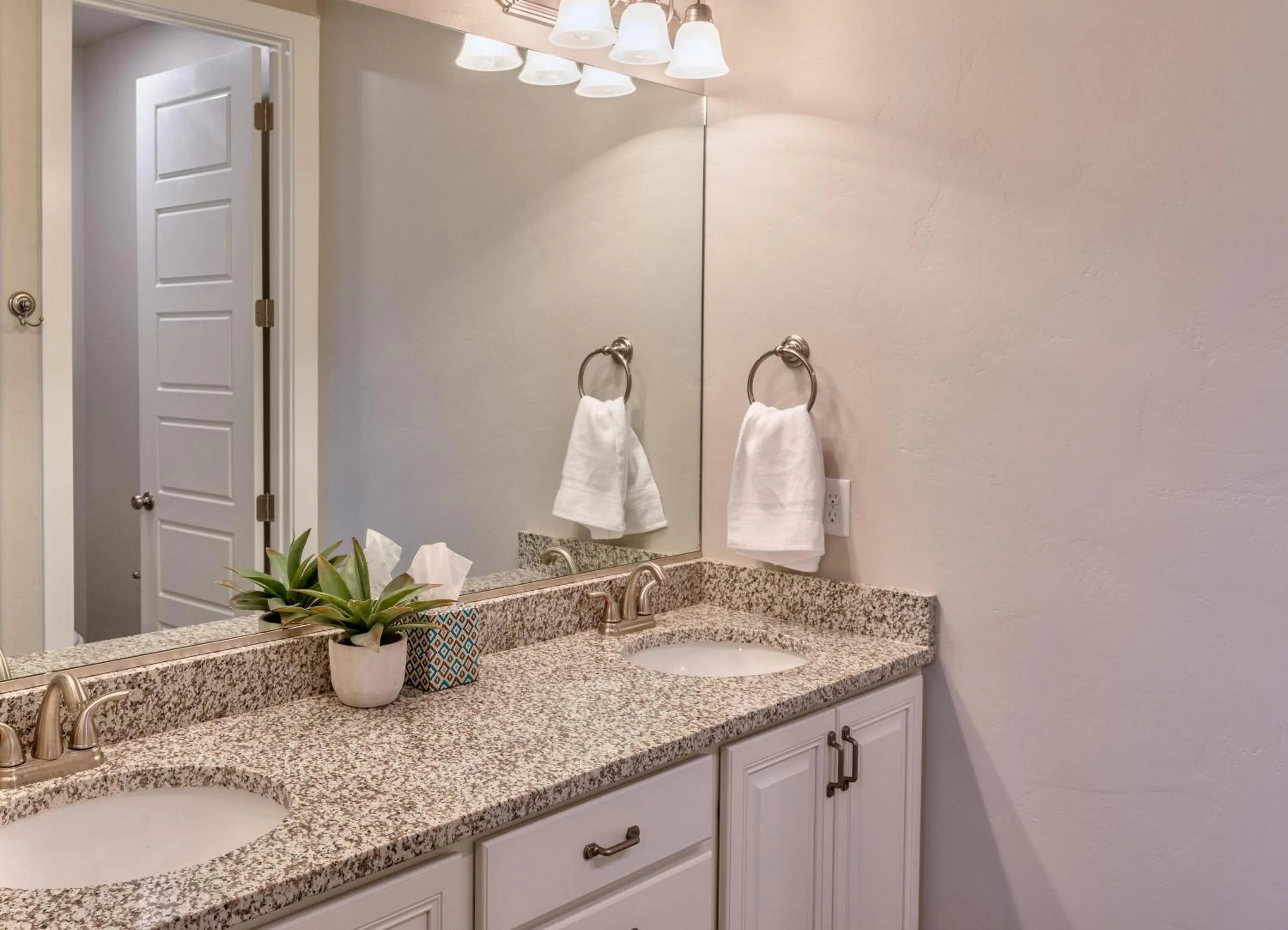 The Pickleball Palace